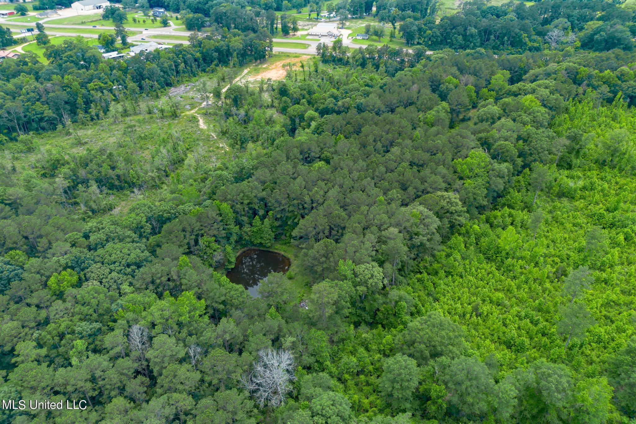 2710 Hwy 49 N, Collins, Mississippi image 17