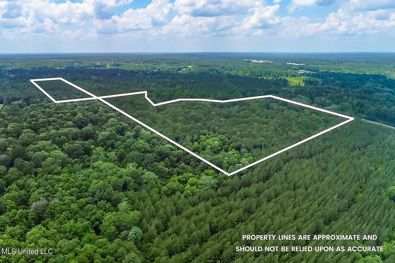 2710 Hwy 49 N, Collins, Mississippi image 14