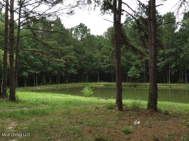 2710 Hwy 49 N, Collins, Mississippi image 21