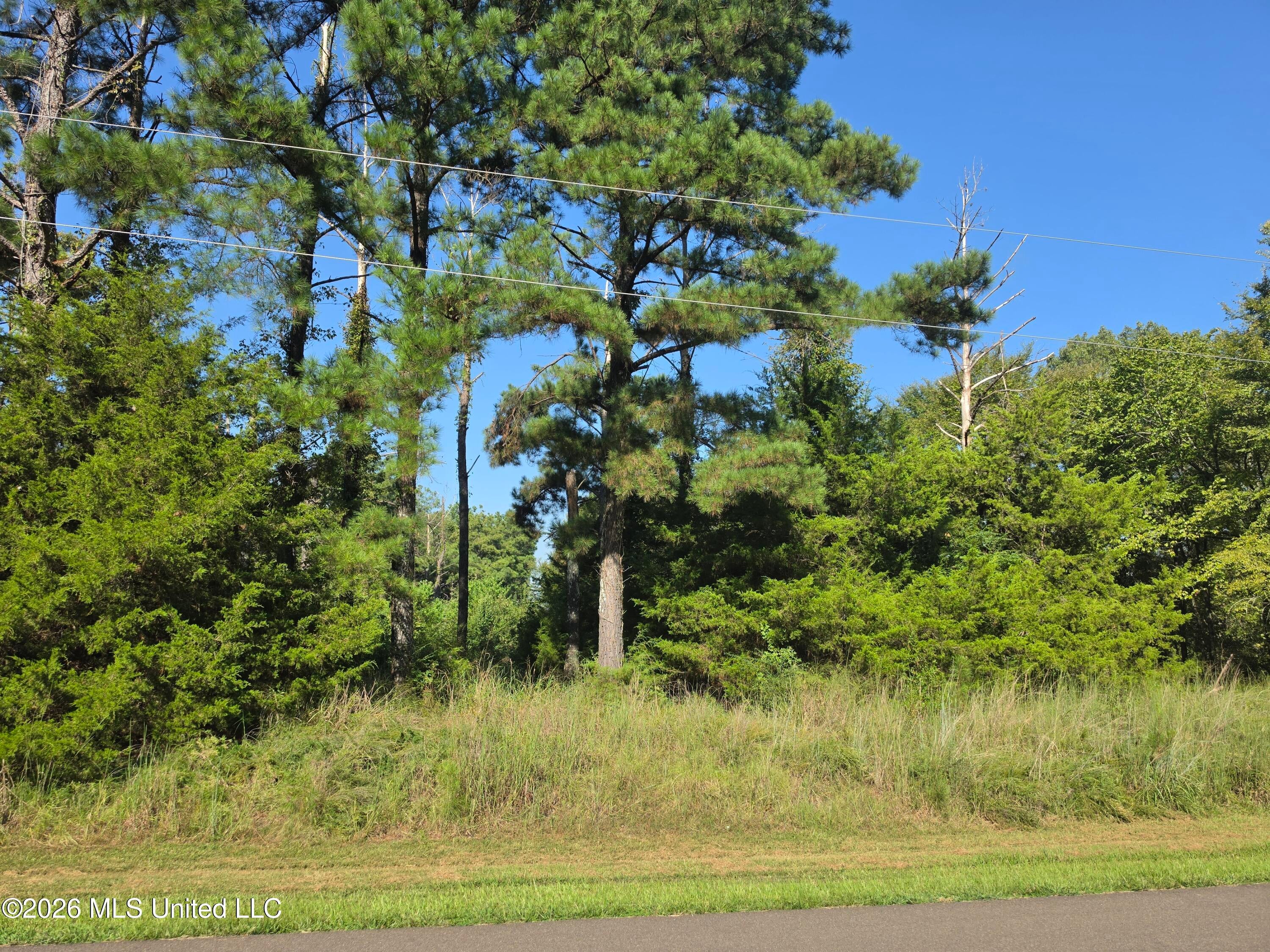 Tbd Lakeshire Parkway