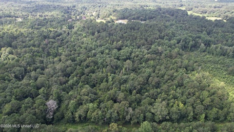 Vacant Land For Sale - Jones Chapel Road<br/> Collins, MS 39428