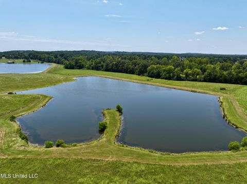 Vacant Land For Sale - Cedar Hill Road<br/> Flora, MS 39071