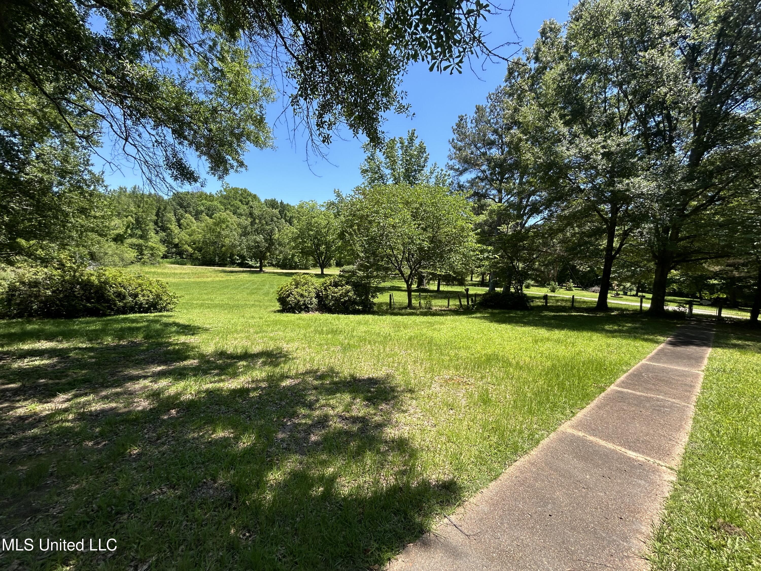 329 195 Country Road, Carrollton, Mississippi image 2