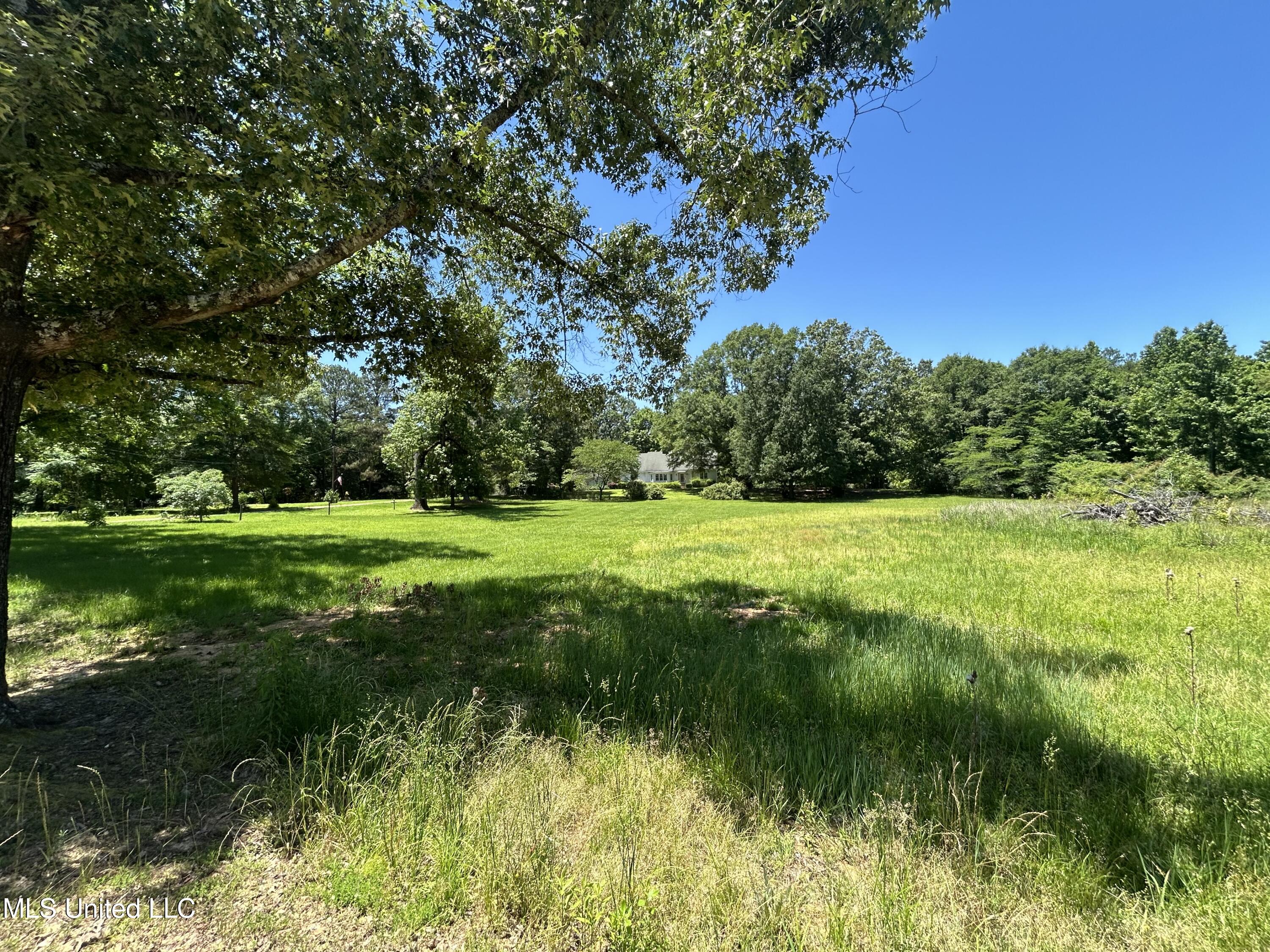329 195 Country Road, Carrollton, Mississippi image 6
