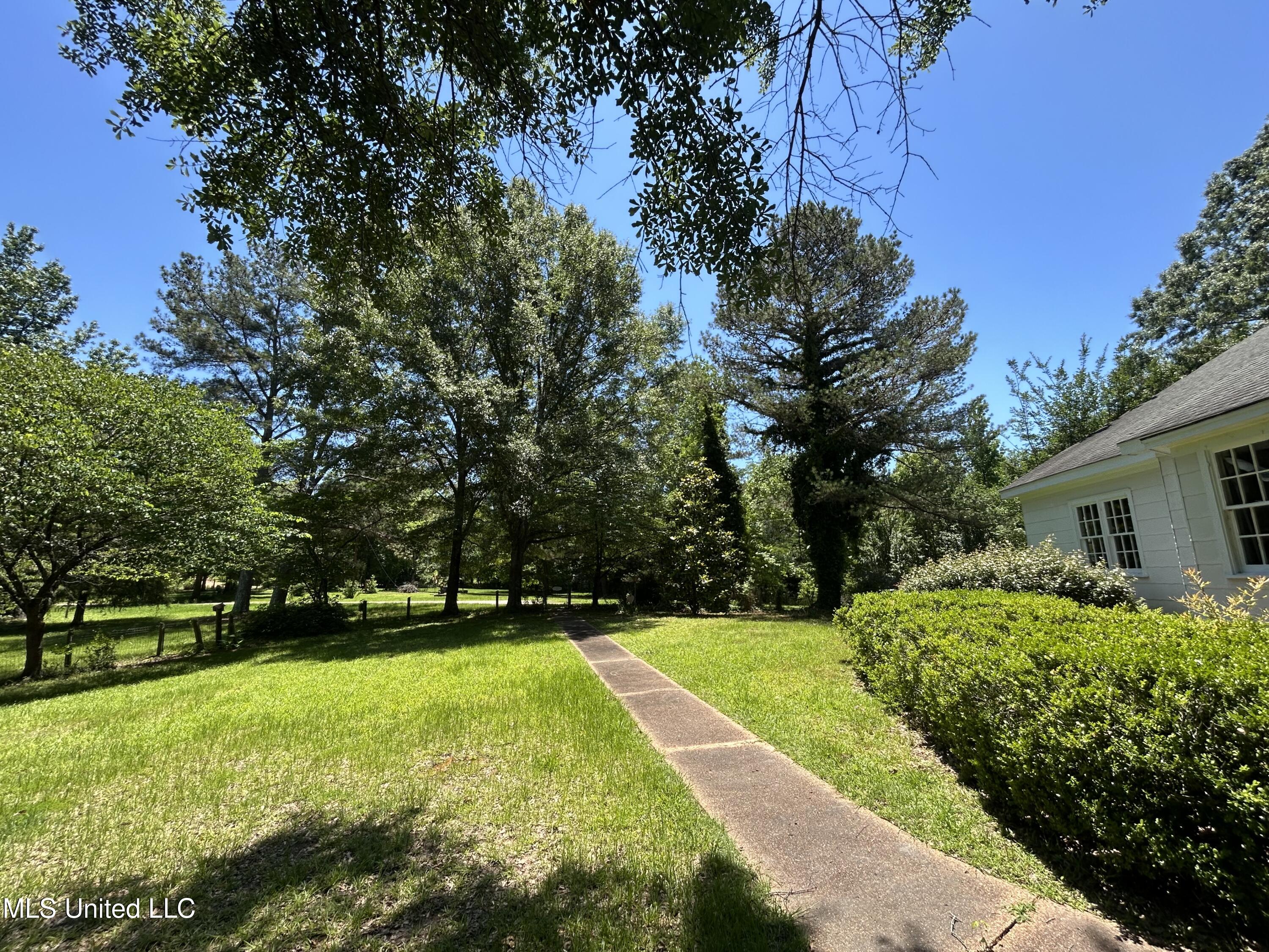 329 195 Country Road, Carrollton, Mississippi image 5