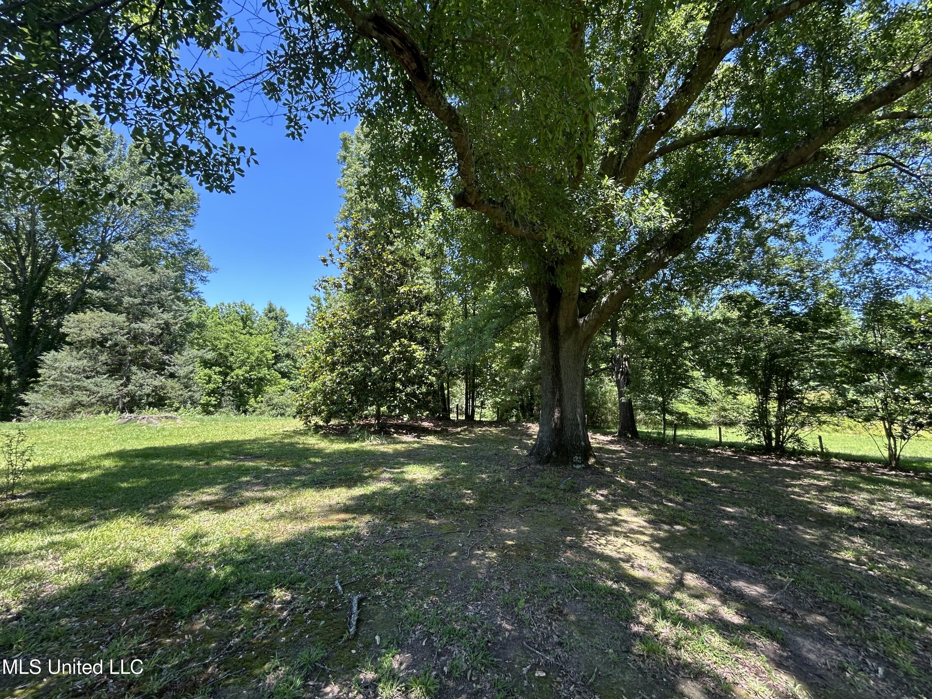 329 195 Country Road, Carrollton, Mississippi image 4