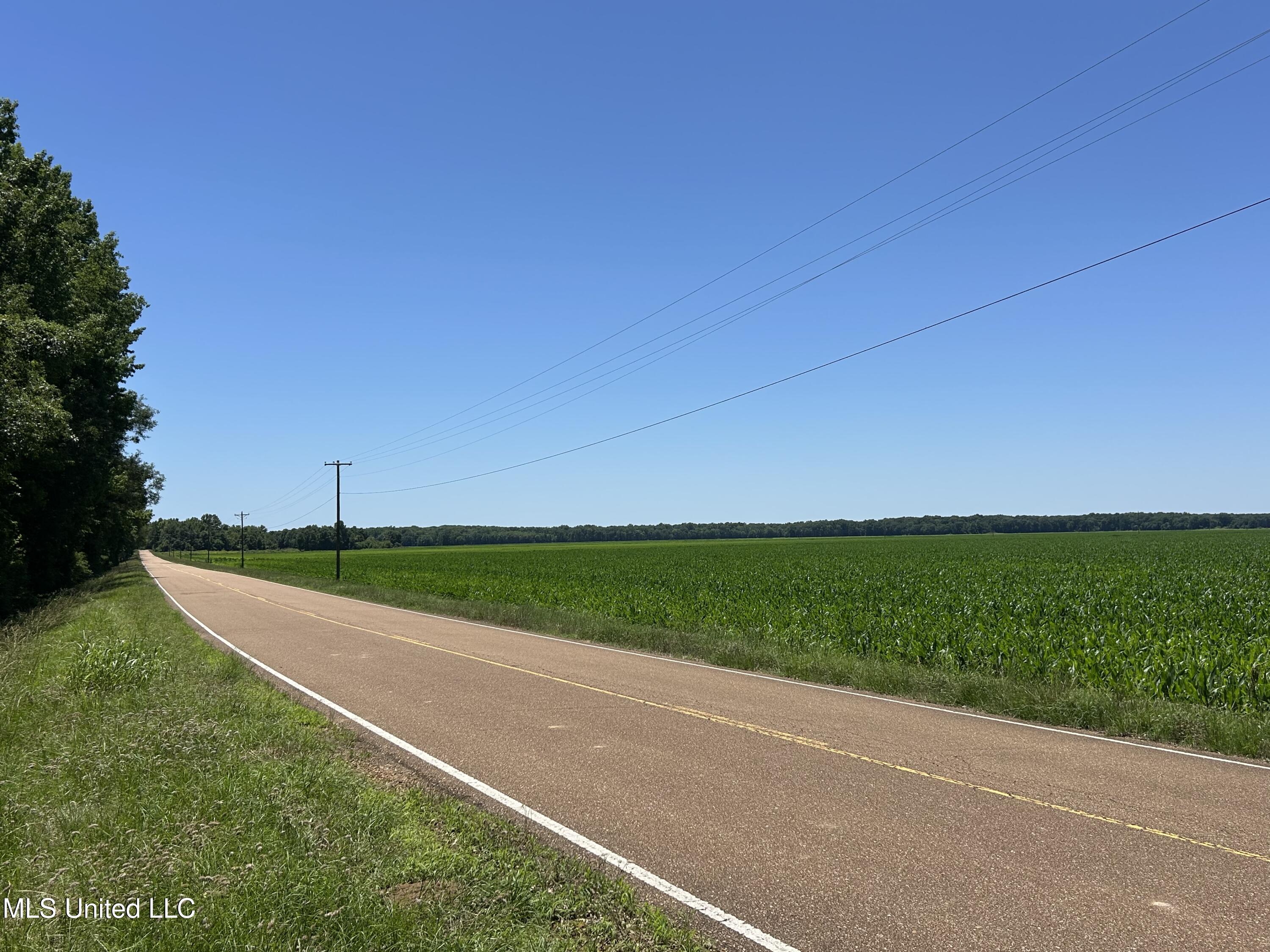 329 195 Country Road, Carrollton, Mississippi image 25
