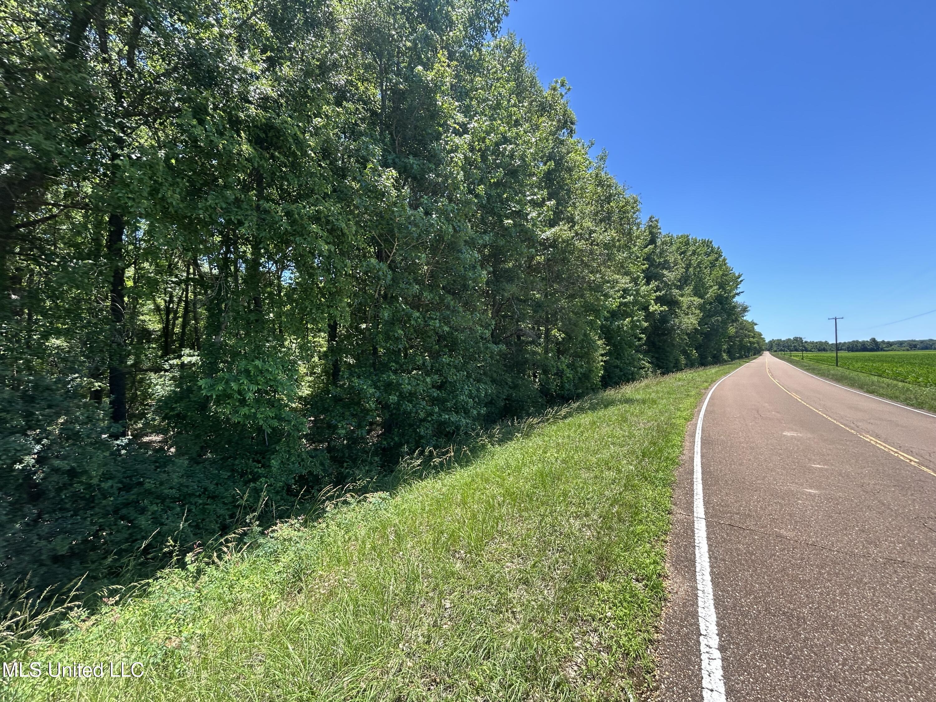 329 195 Country Road, Carrollton, Mississippi image 18