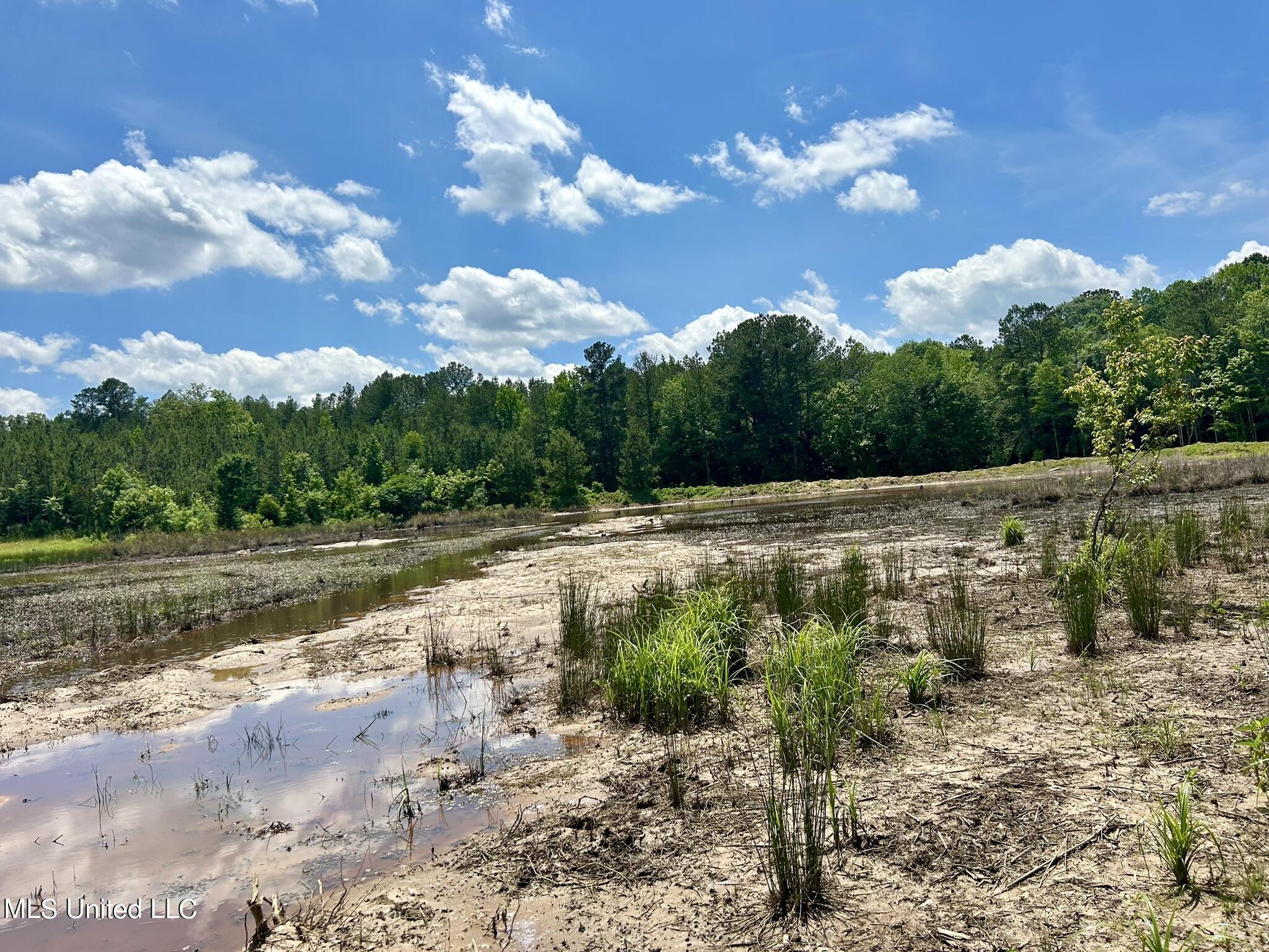 County Road 4005, Goodman, Mississippi image 18