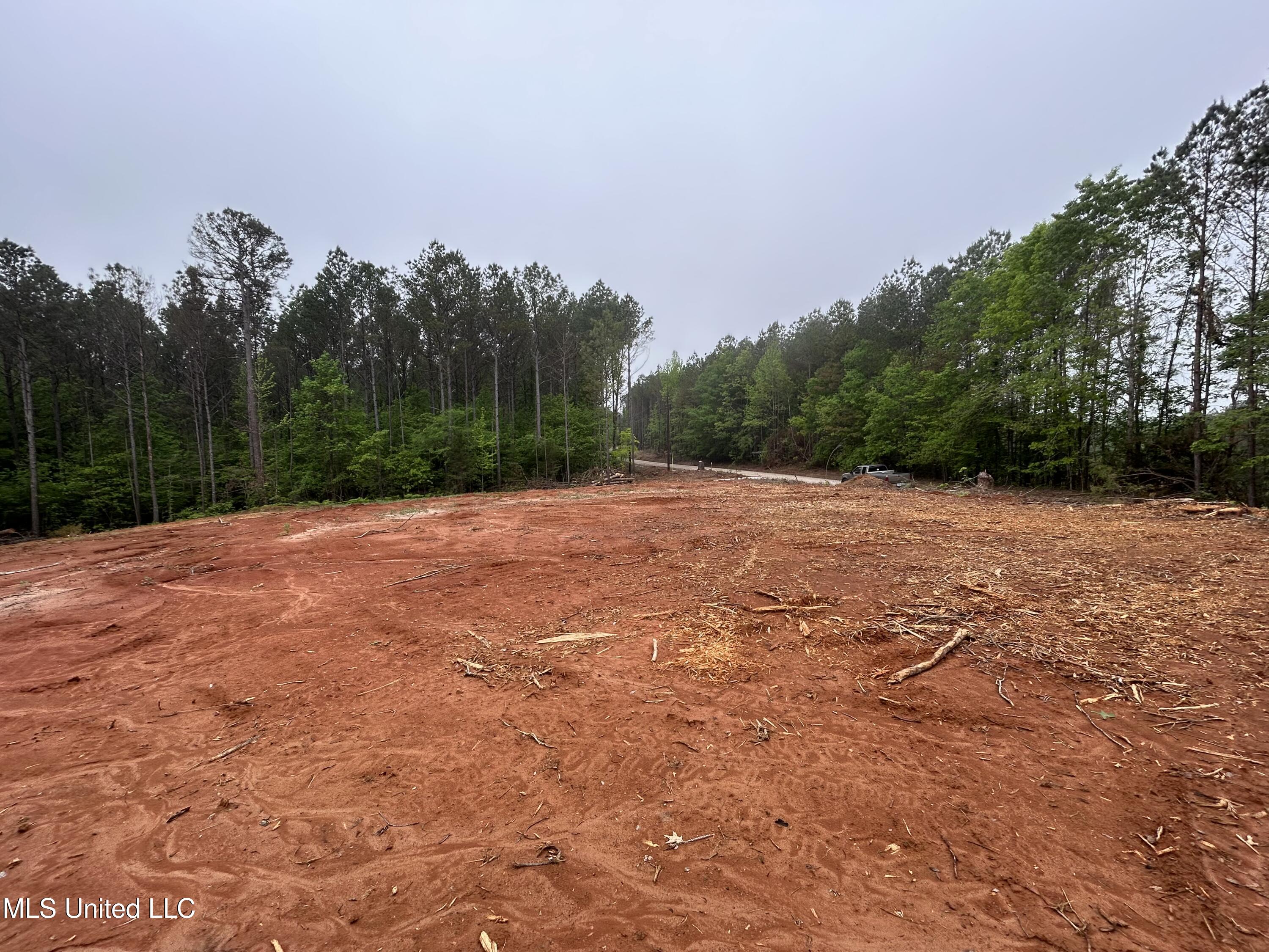606 Cr 442, Oxford, Mississippi image 3