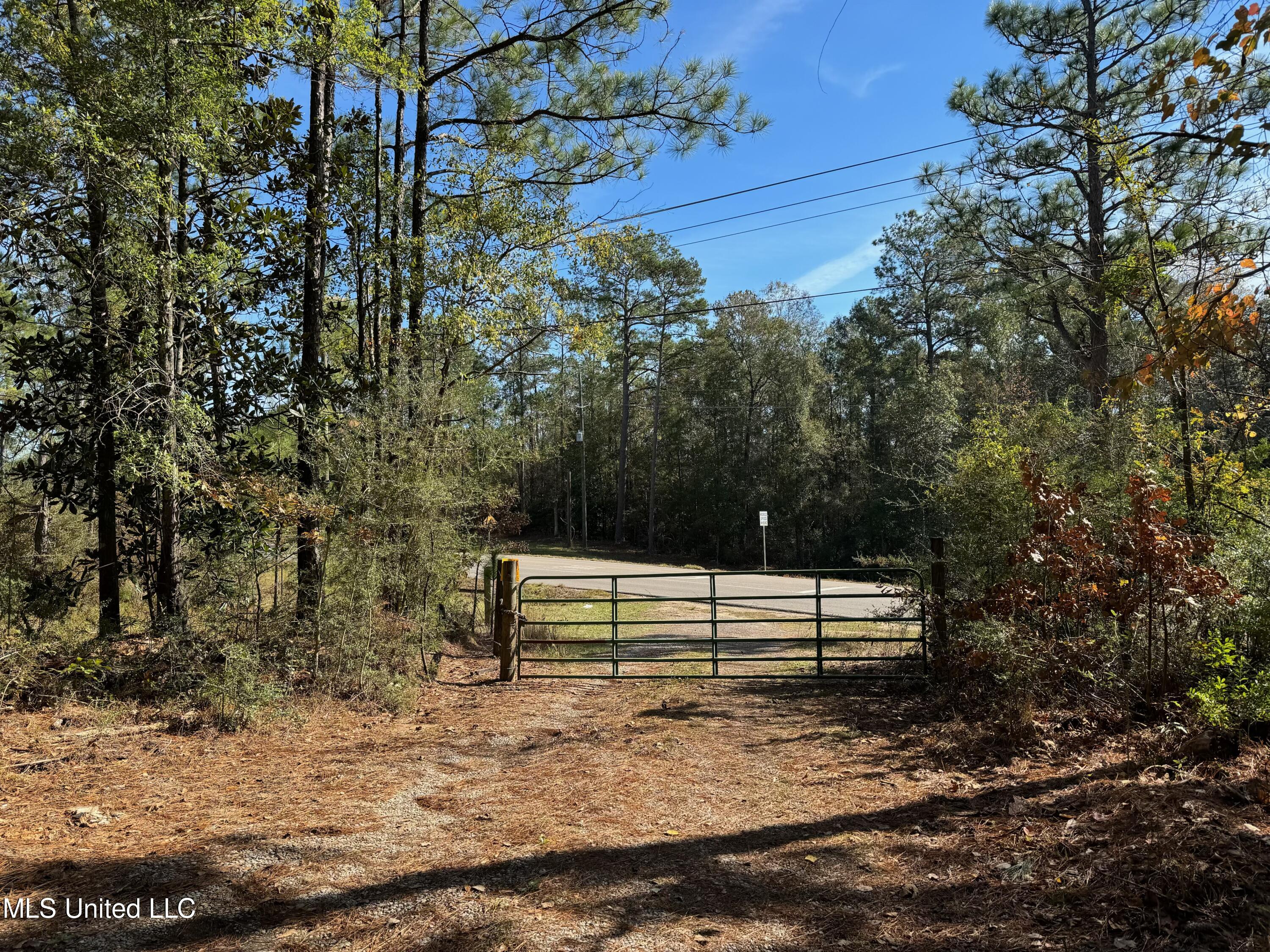 Hwy 57, Leakesville, Mississippi image 2