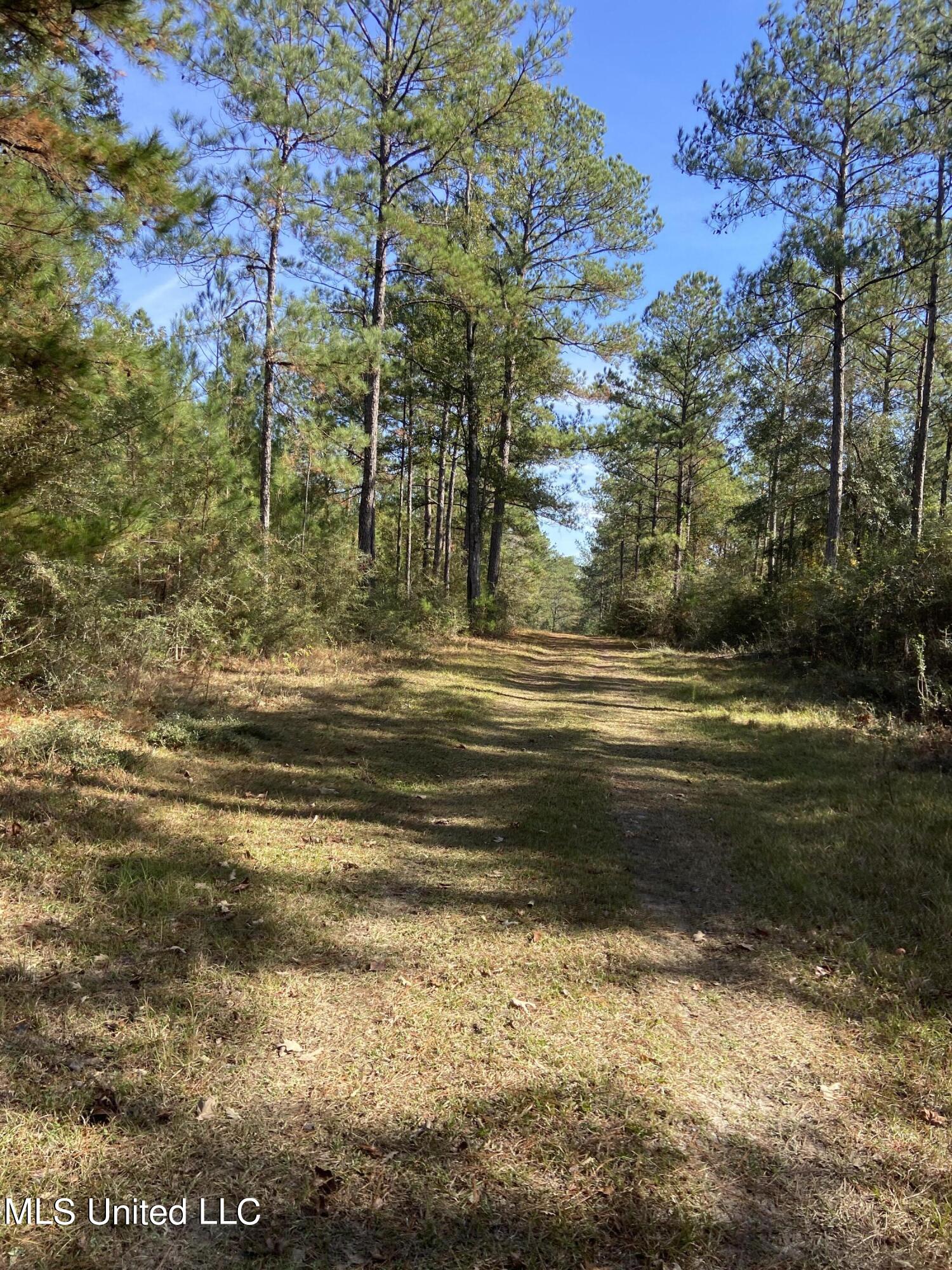 Hwy 57, Leakesville, Mississippi image 4