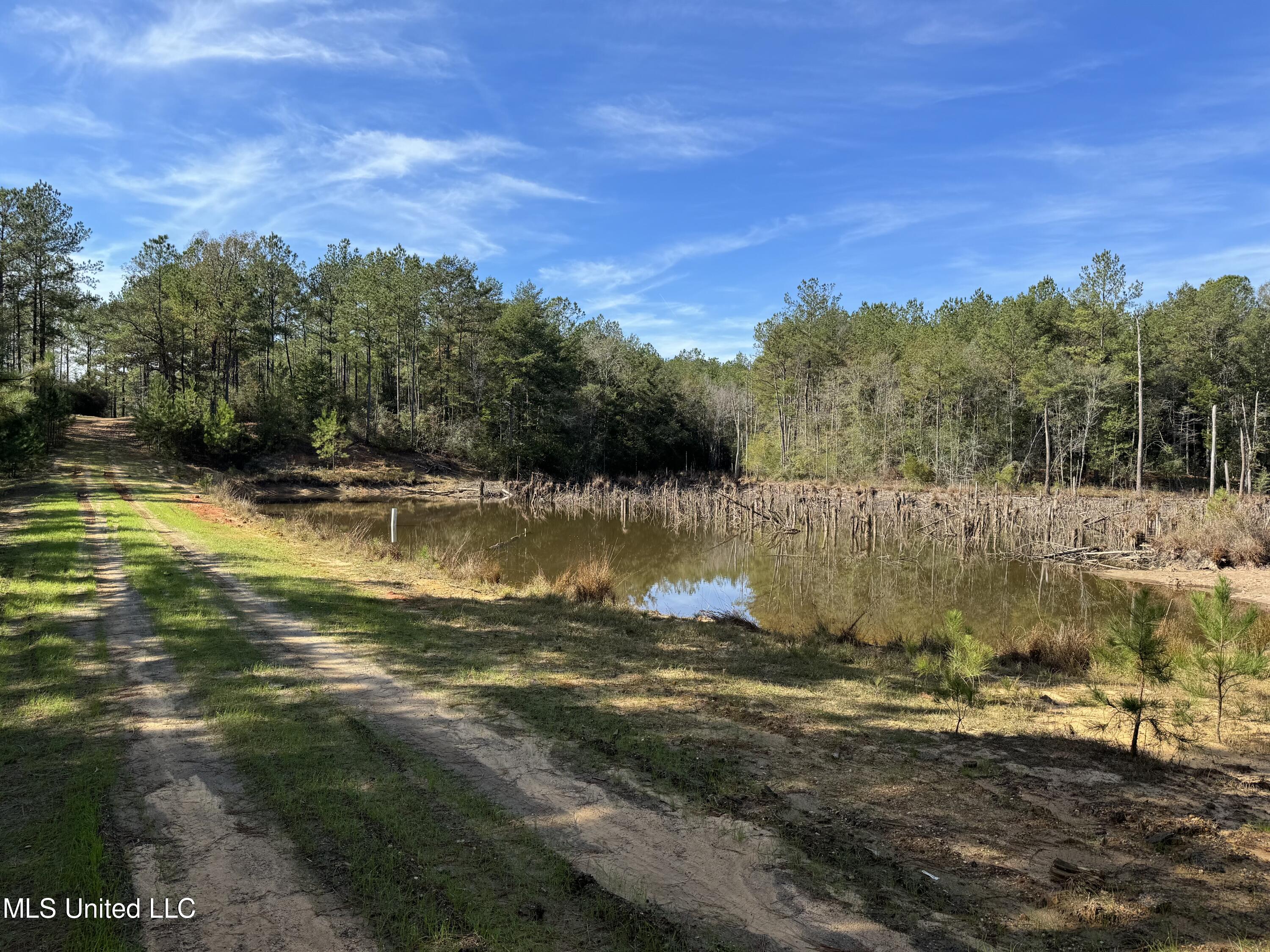 Hwy 57, Leakesville, Mississippi image 7