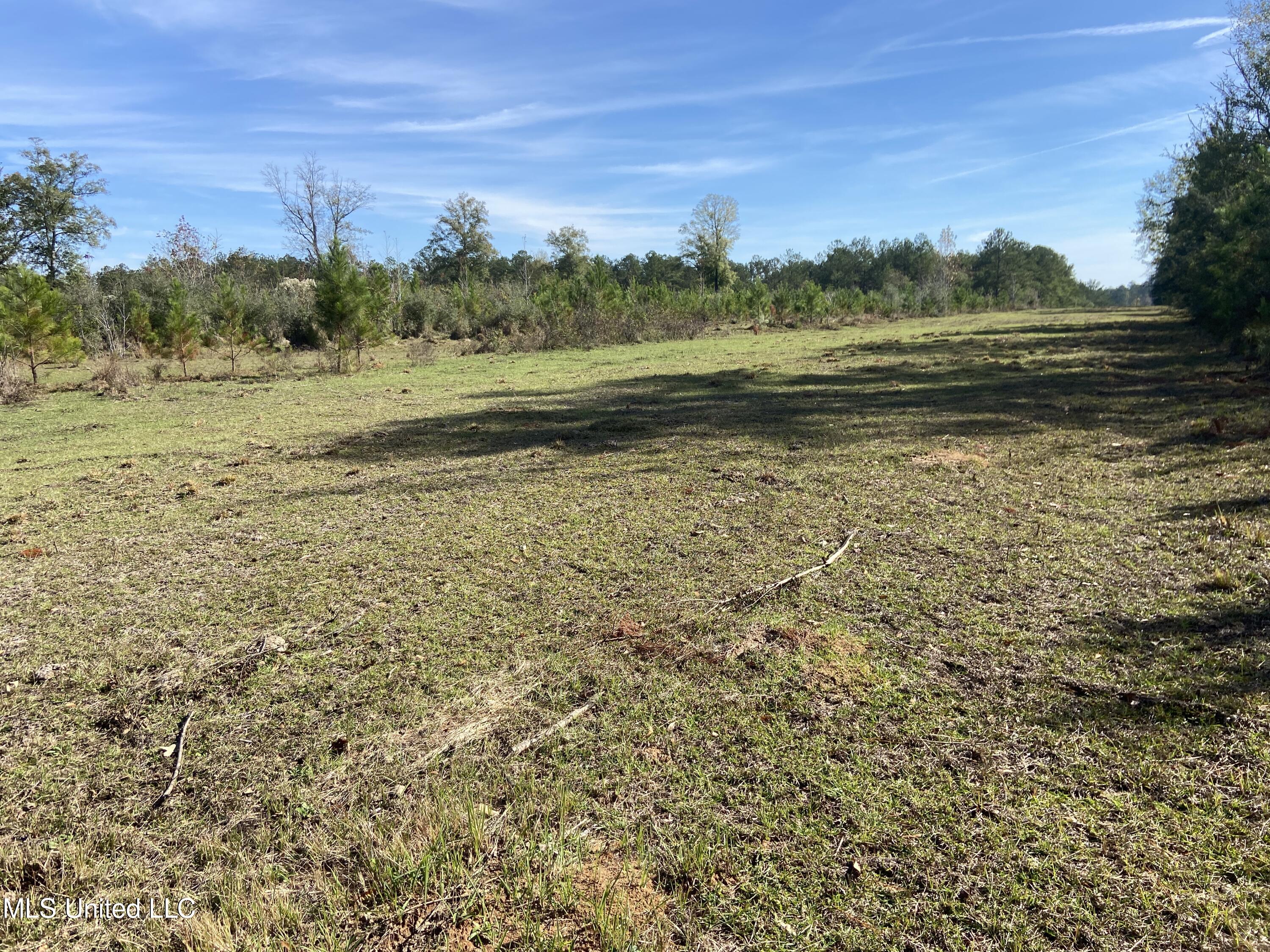 Hwy 57, Leakesville, Mississippi image 3