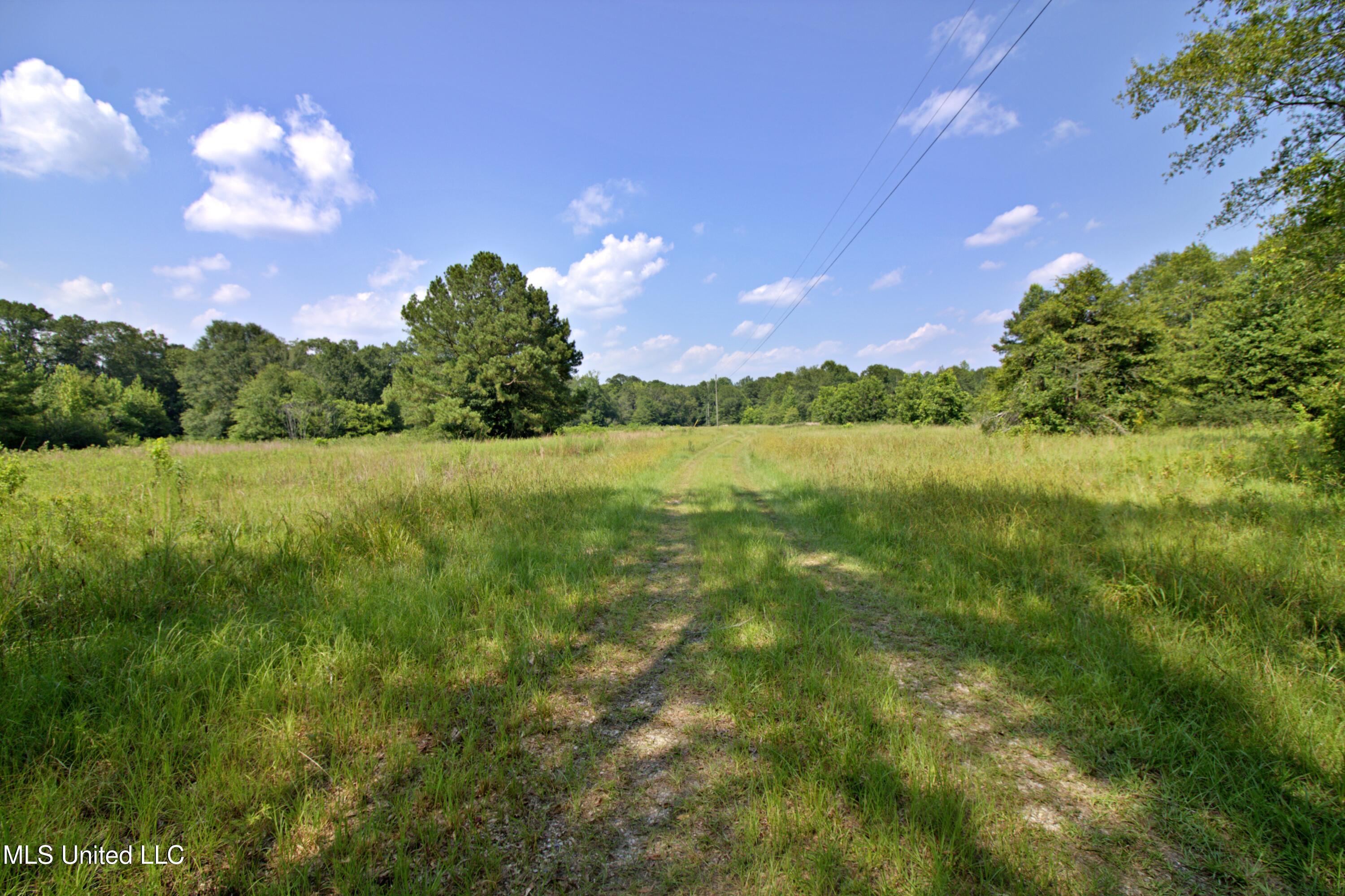 280 Lowery Road, Sumrall, Mississippi image 26