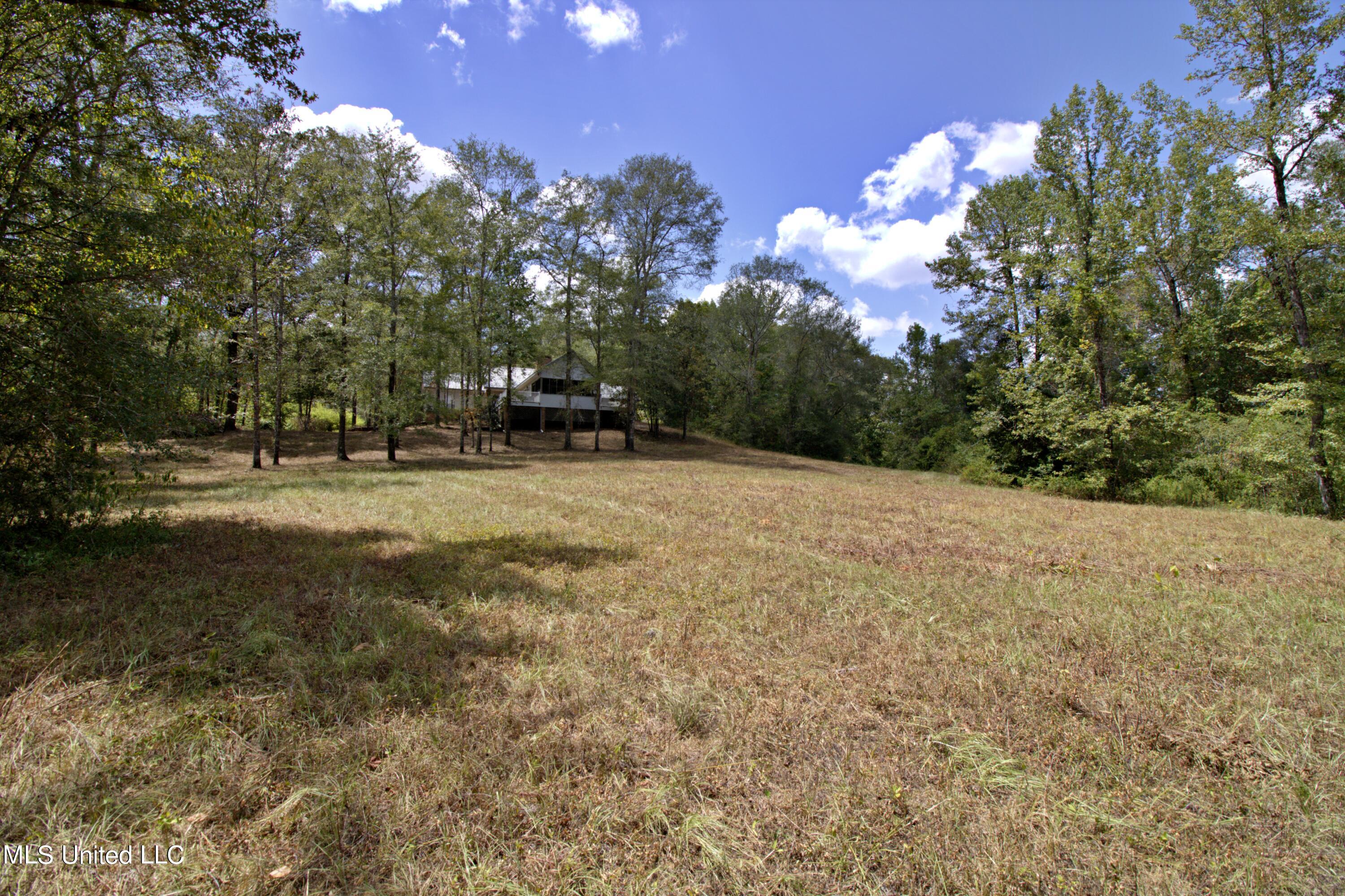 280 Lowery Road, Sumrall, Mississippi image 1