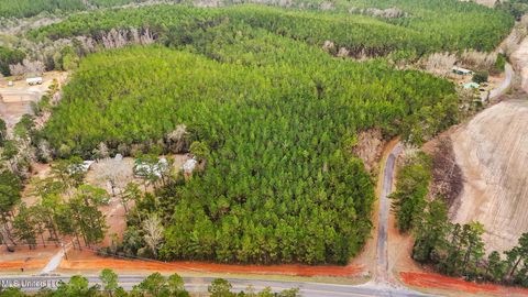Vacant Land For Sale - 89AC Old Hwy 63n & Fork Rd<br/> Greene County, Lucedale, MS 39452
