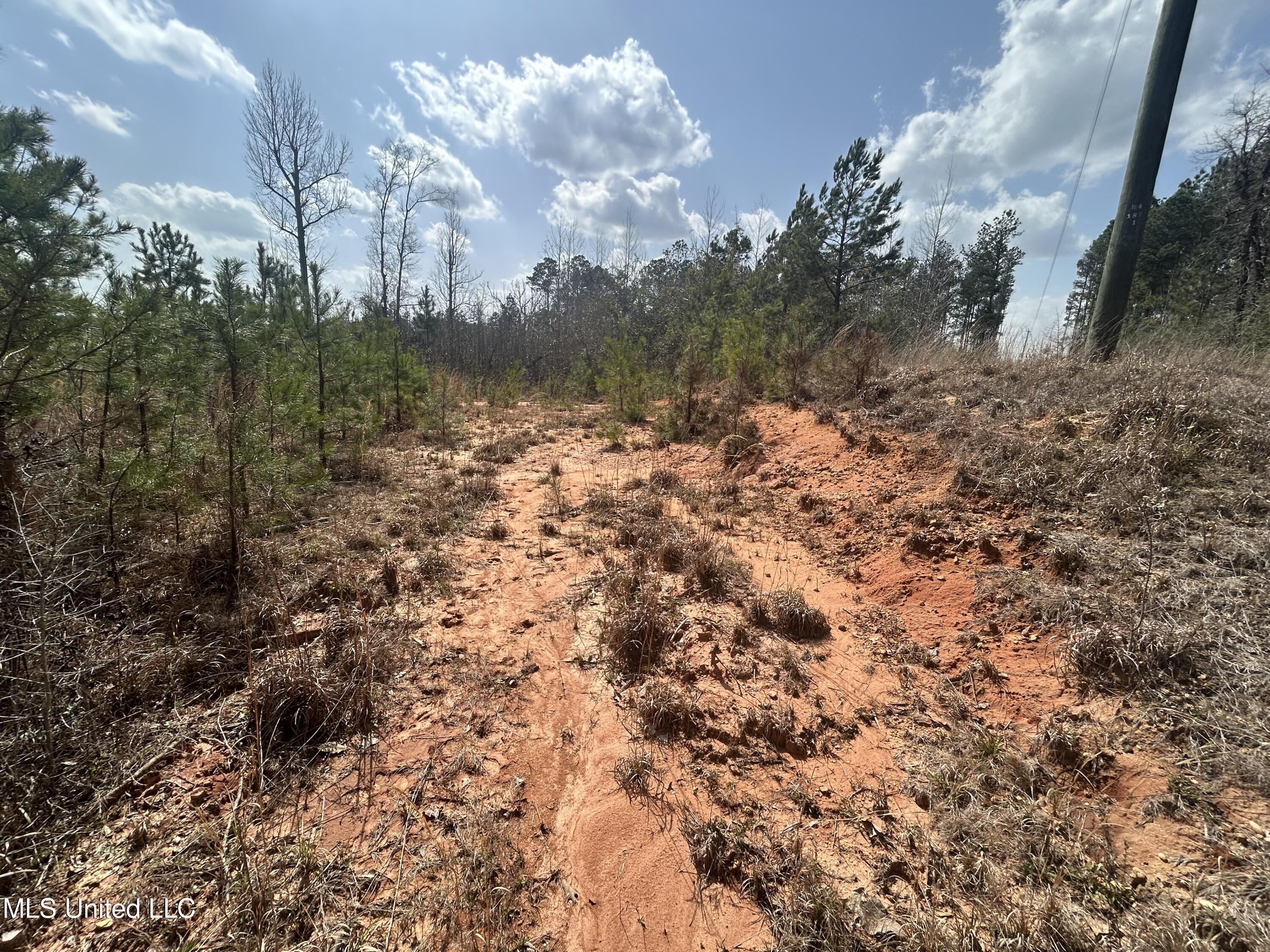 00 Jordan Hill Road, Prentiss, Mississippi image 3