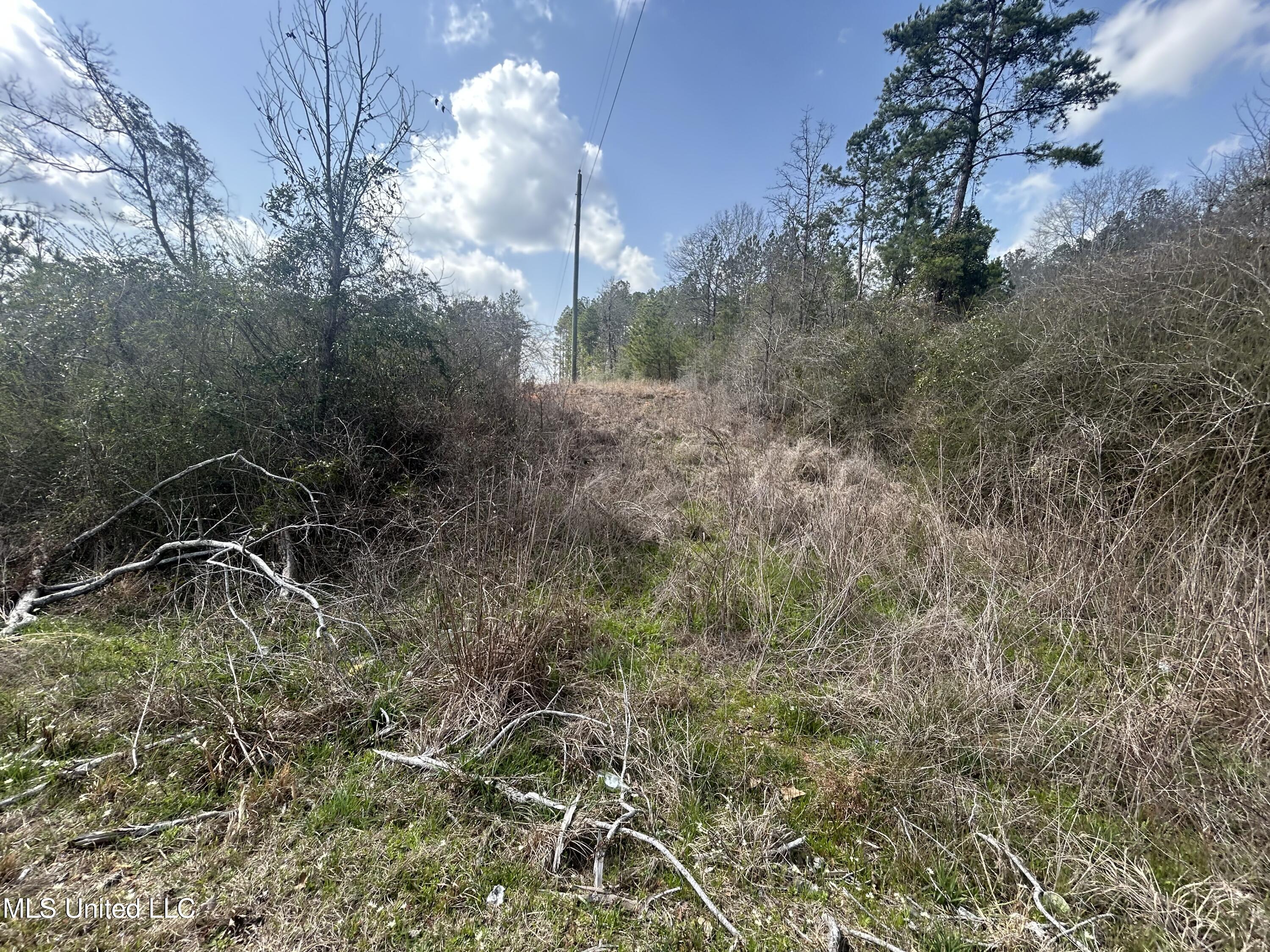 00 Jordan Hill Road, Prentiss, Mississippi image 2