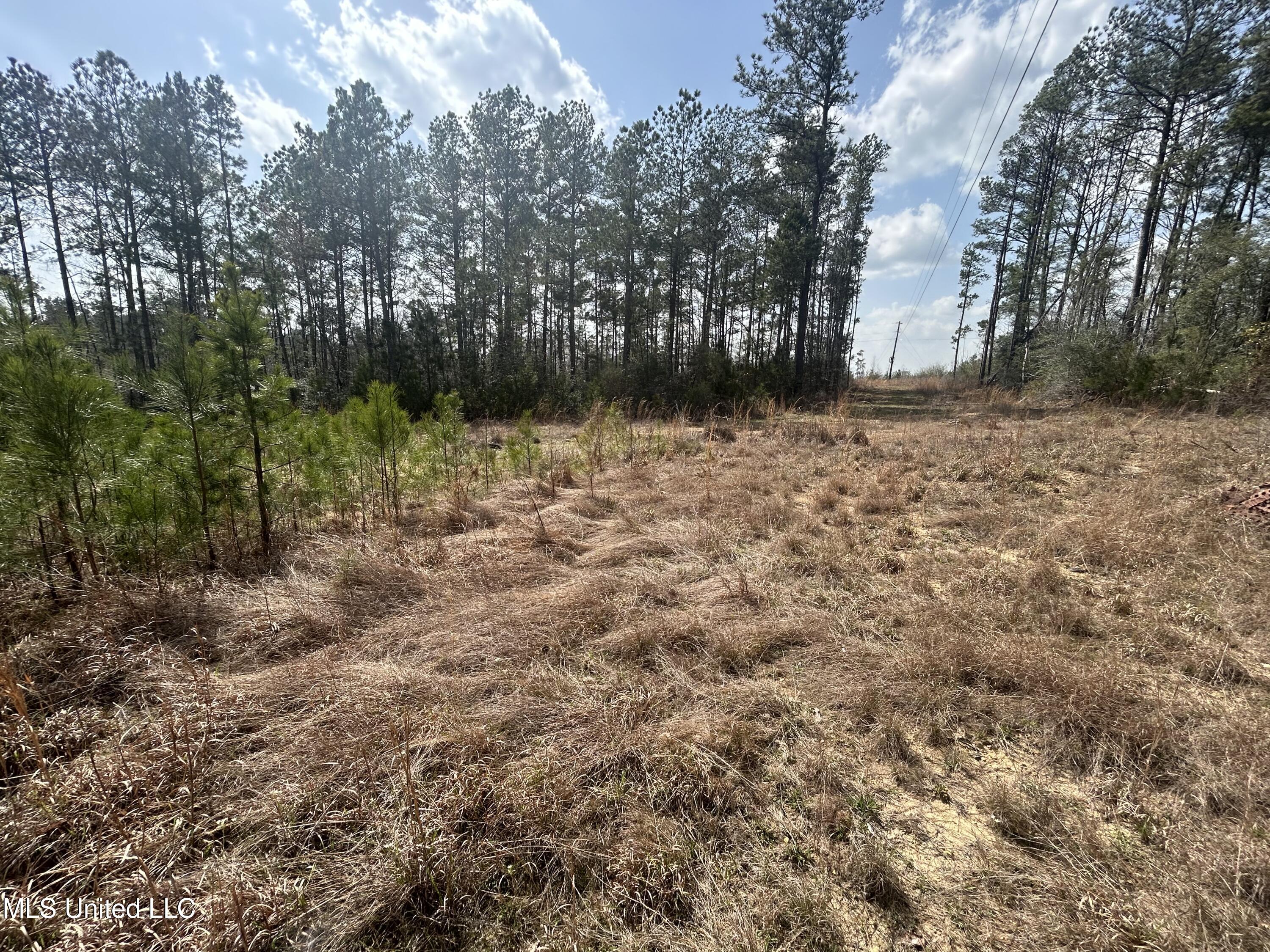 00 Jordan Hill Road, Prentiss, Mississippi image 6