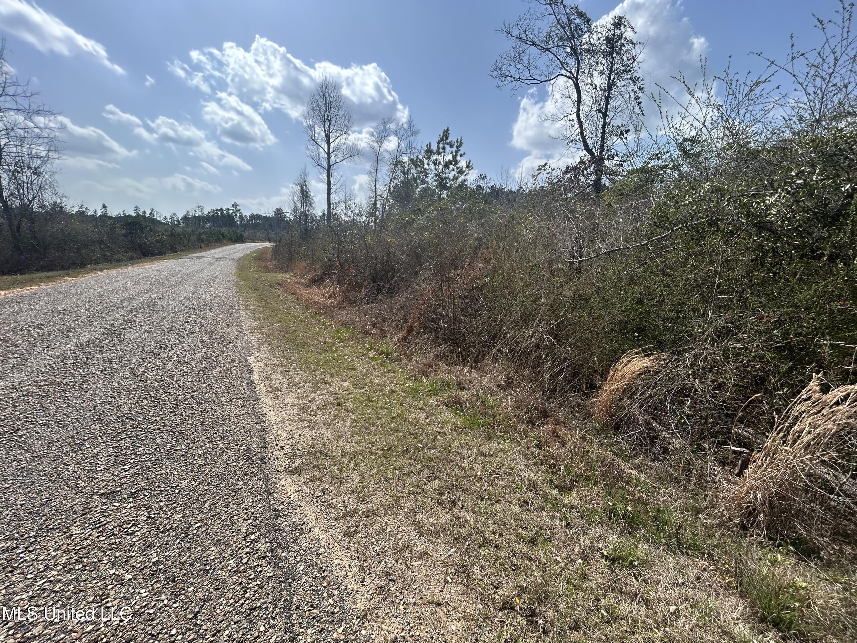 00 Jordan Hill Road, Prentiss, Mississippi image 1