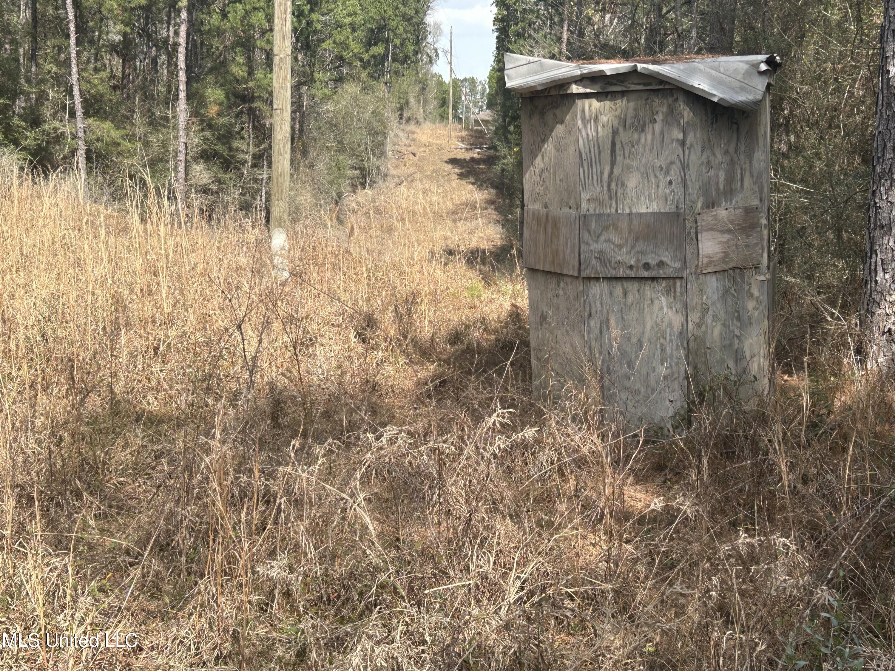 00 Jordan Hill Road, Prentiss, Mississippi image 9