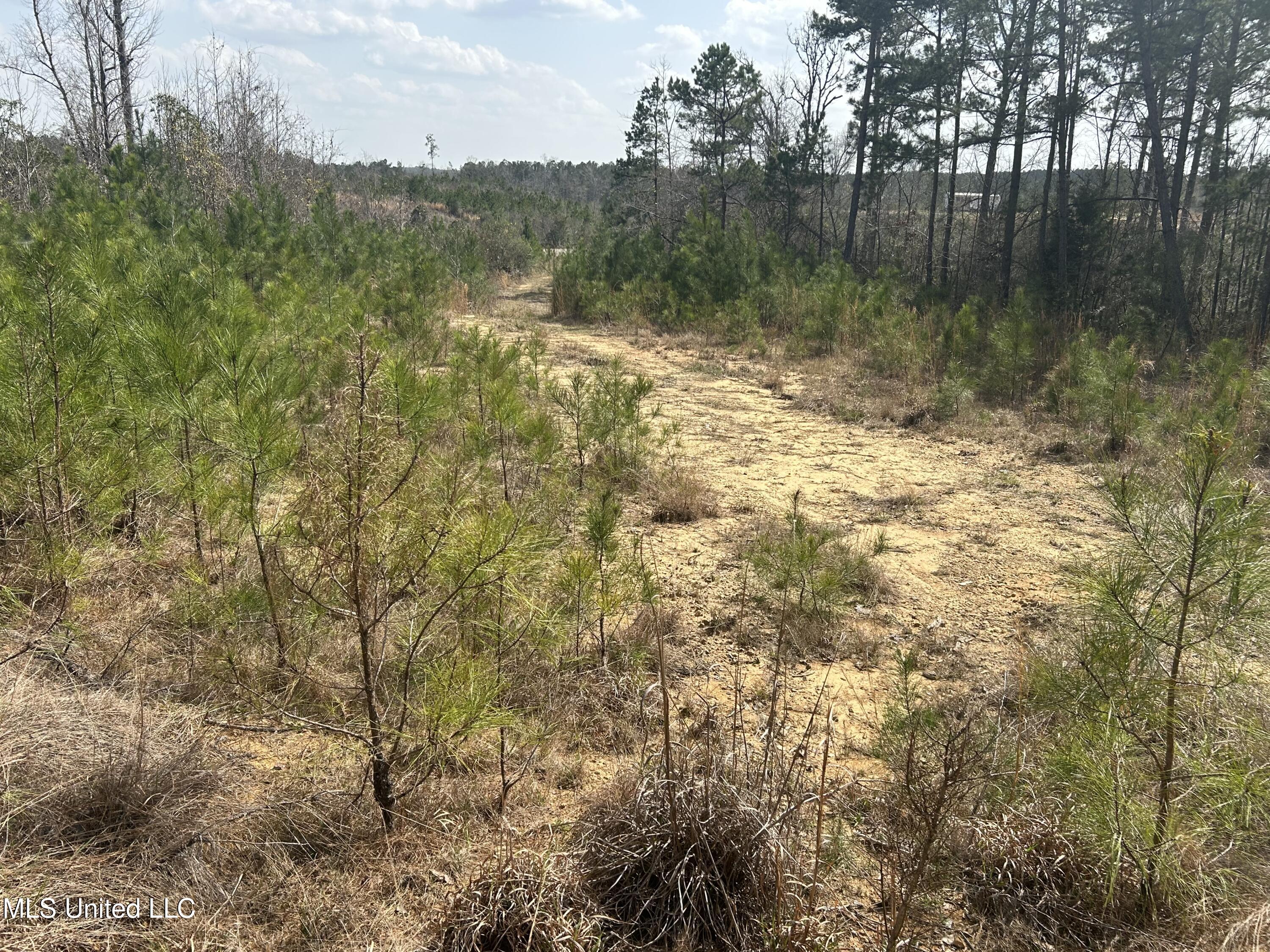 00 Jordan Hill Road, Prentiss, Mississippi image 10