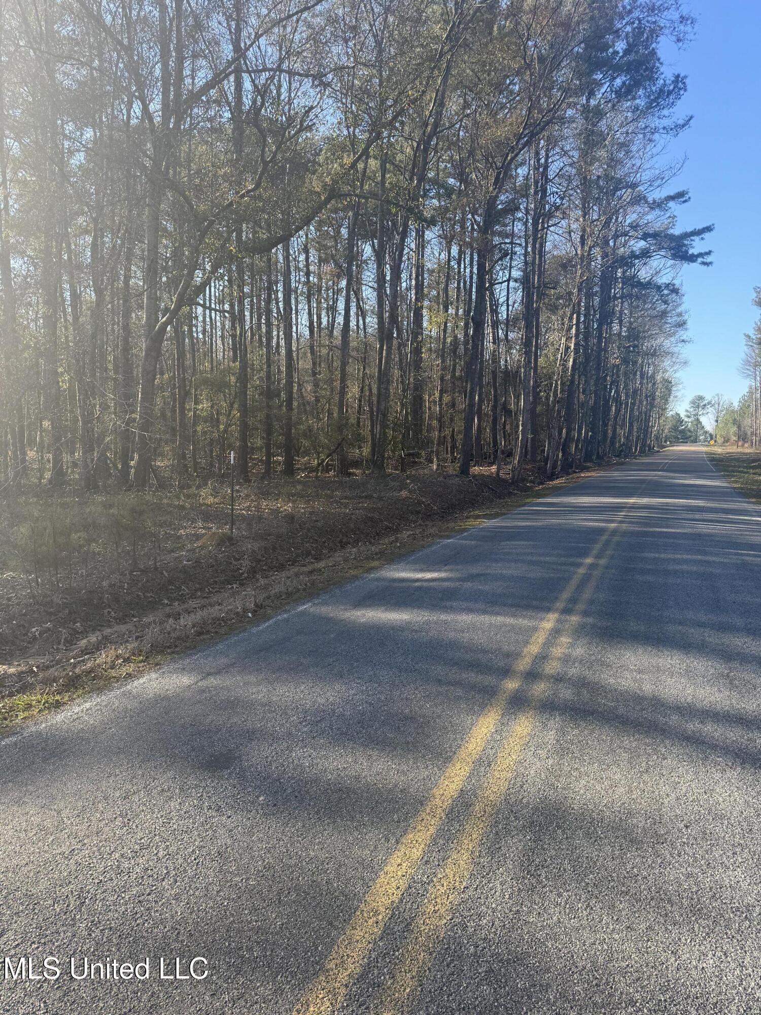 Lake Rd, Pelahatchie, Mississippi image 2