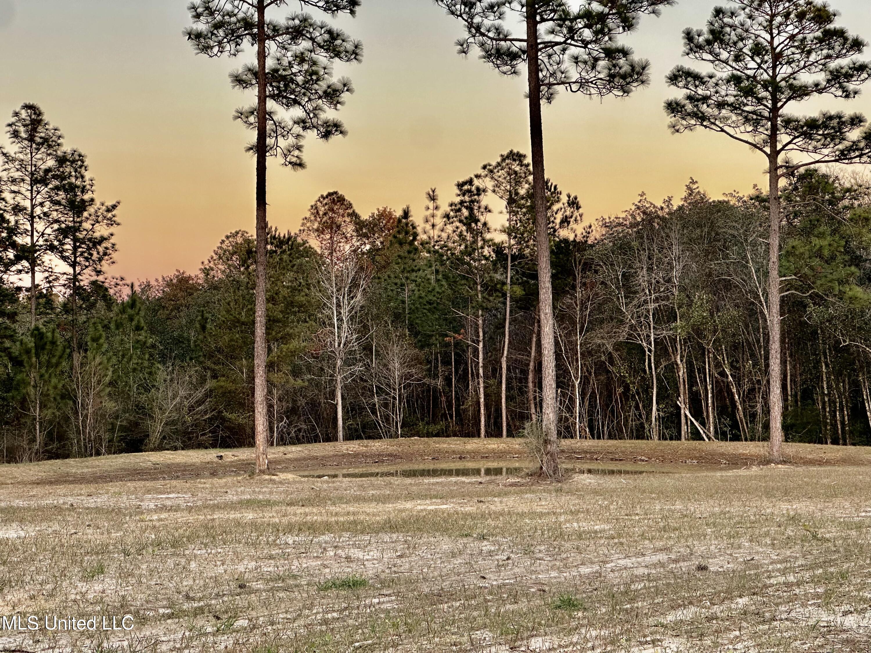 Jackson County Line Road, Lucedale, Mississippi image 4