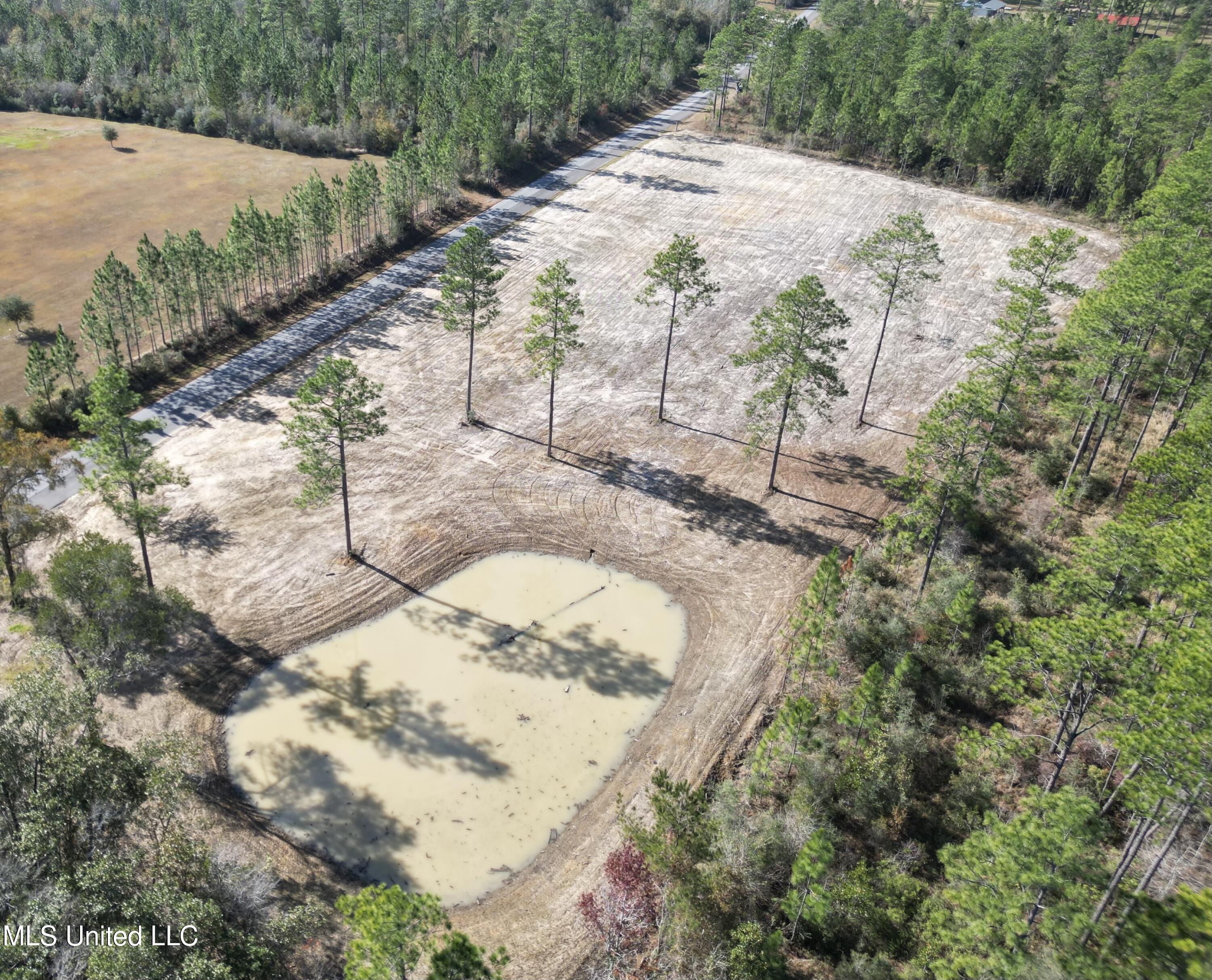 Jackson County Line Road, Lucedale, Mississippi image 1