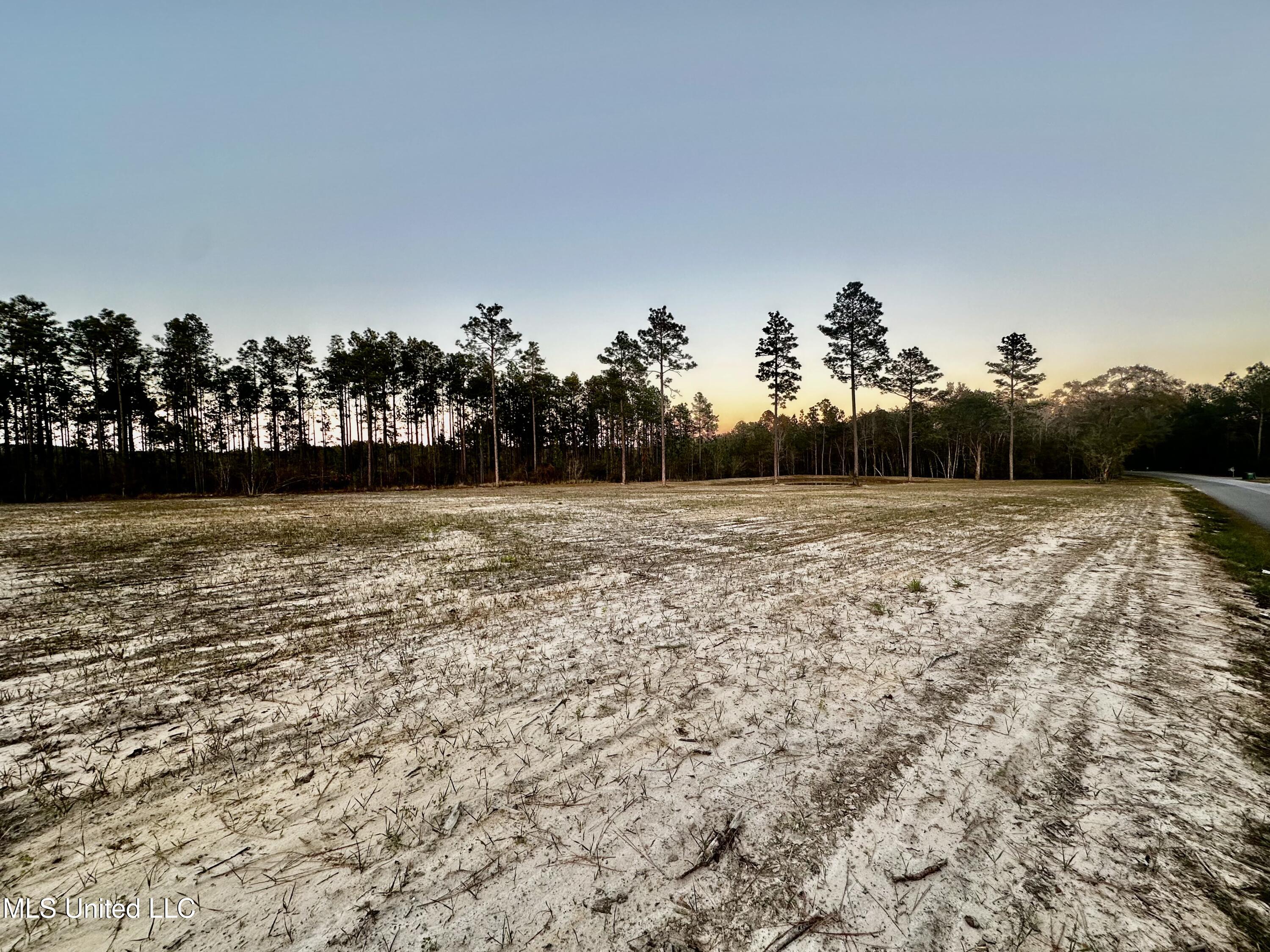 Jackson County Line Road, Lucedale, Mississippi image 5