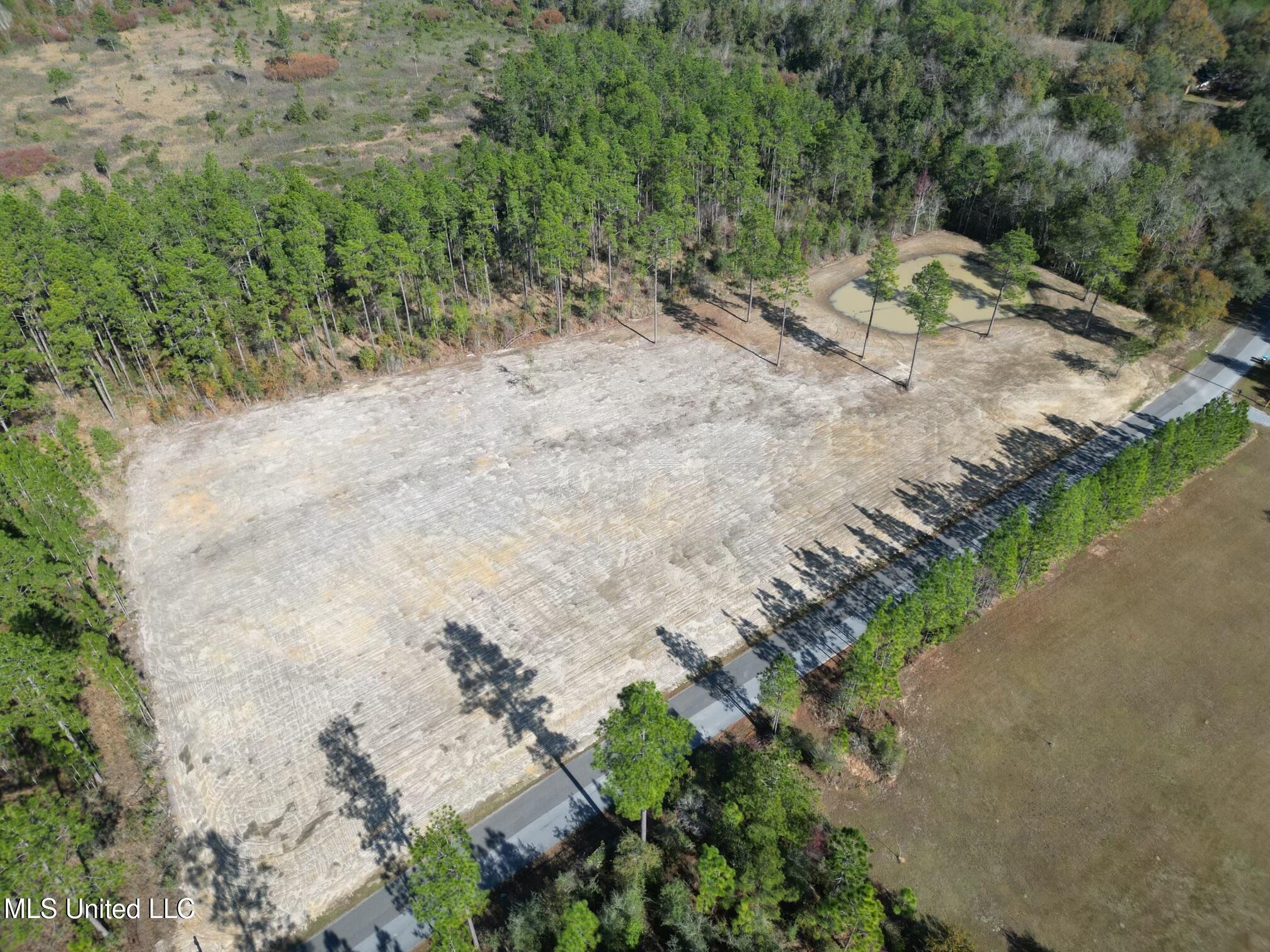 Jackson County Line Road, Lucedale, Mississippi image 2