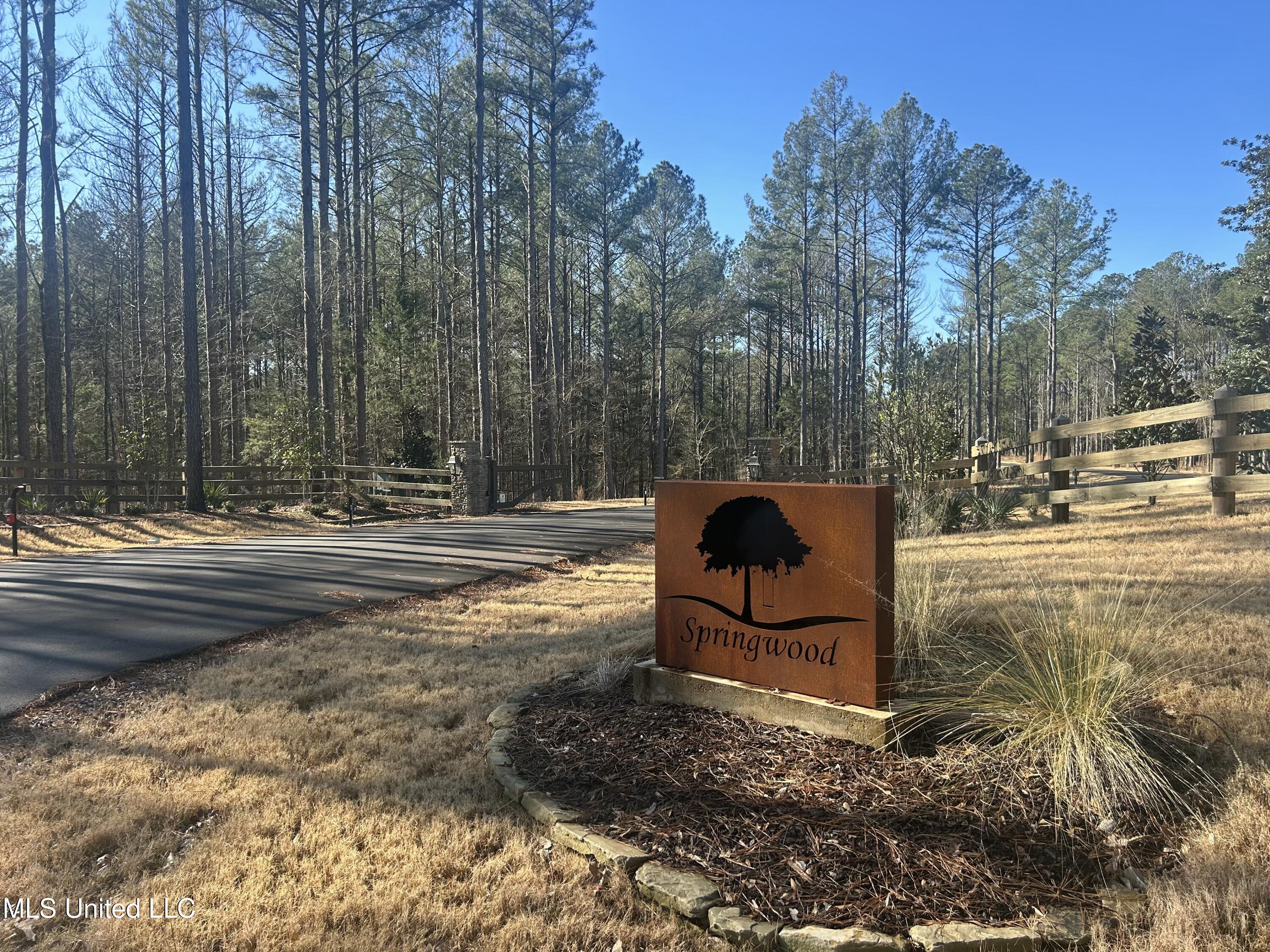 Springwood Trail, Flora, Mississippi image 3