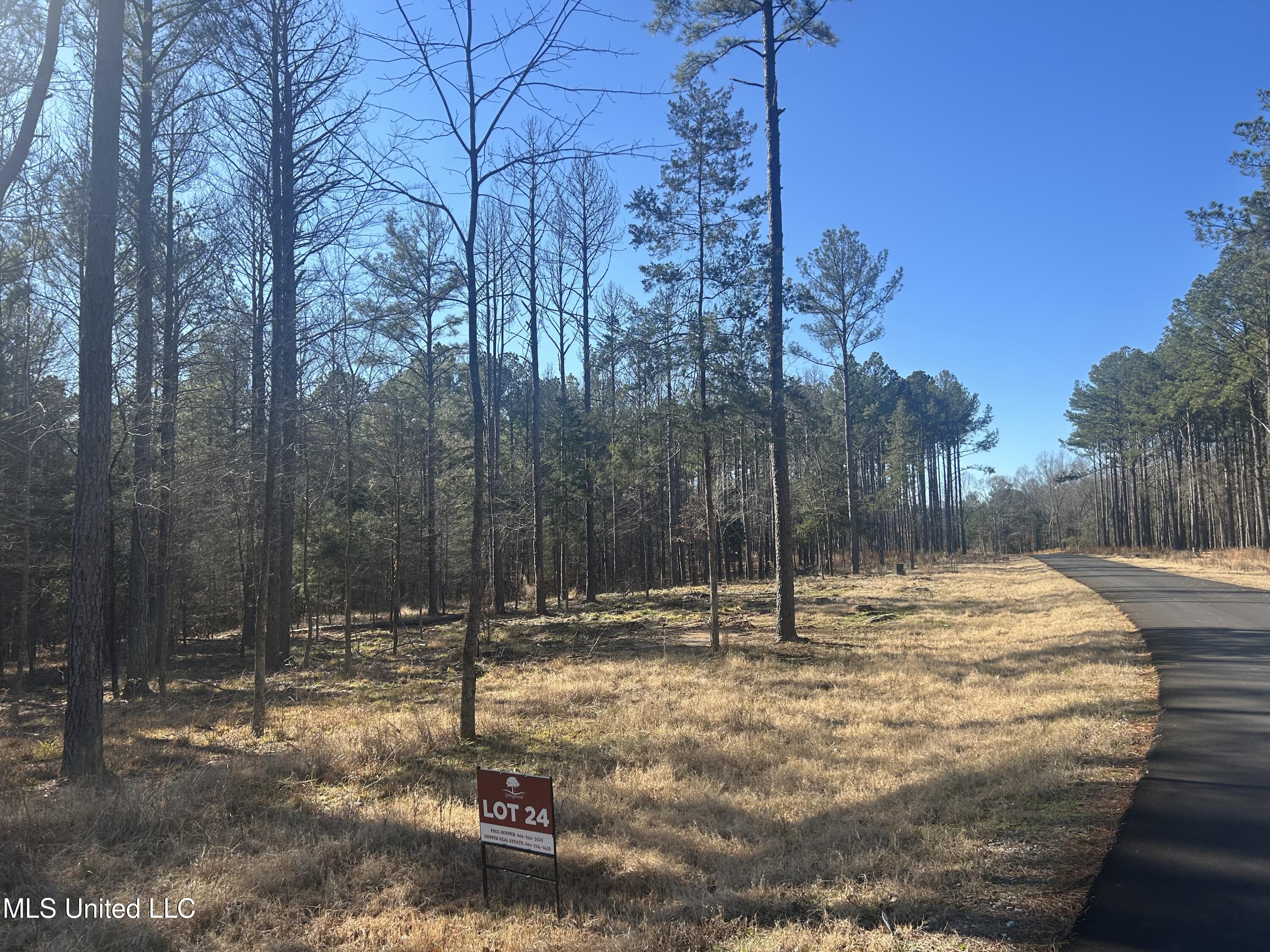 Springwood Trail, Flora, Mississippi image 1