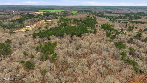 Vacant Land For Sale - Monterey Road<br/> Florence, MS 39073