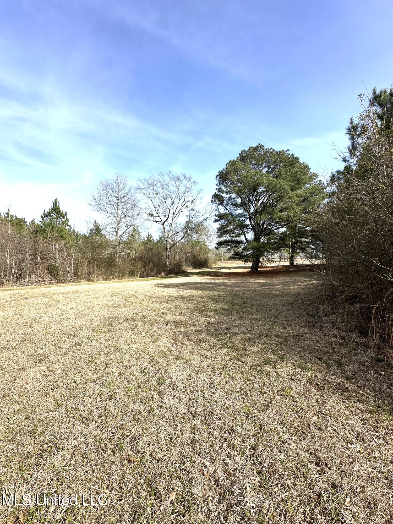 3530 Smith County Road 110, Magee, Mississippi image 2