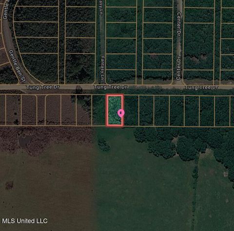 Vacant Land For Sale - 00 Tung Tree Drive<br/> Lumberton, MS 39455