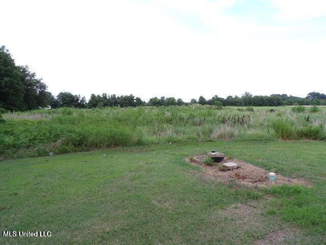 5521 Dubbs Road, Dundee, Mississippi image 3
