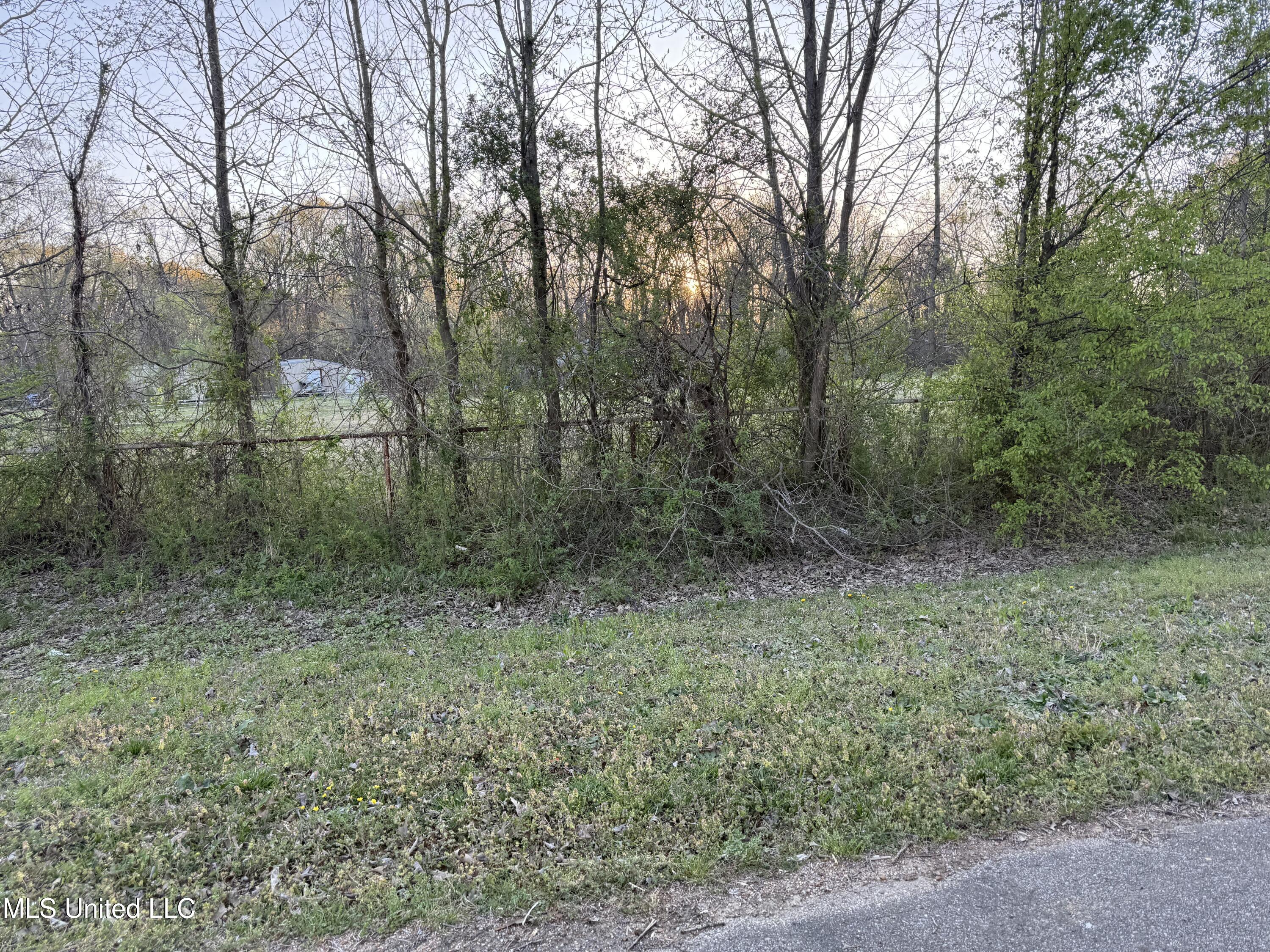 7205 Whitten Place Drive, Southaven, Mississippi image 1
