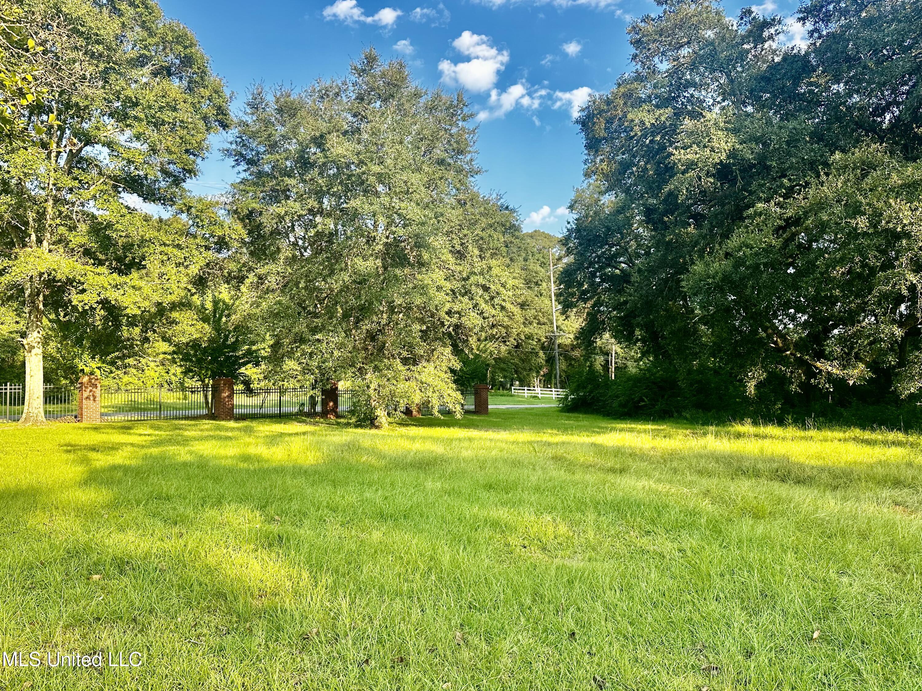 Huckleberry Lane, Moss Point, Mississippi image 2