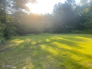 174 Steel B Road, Morton, Mississippi image 2