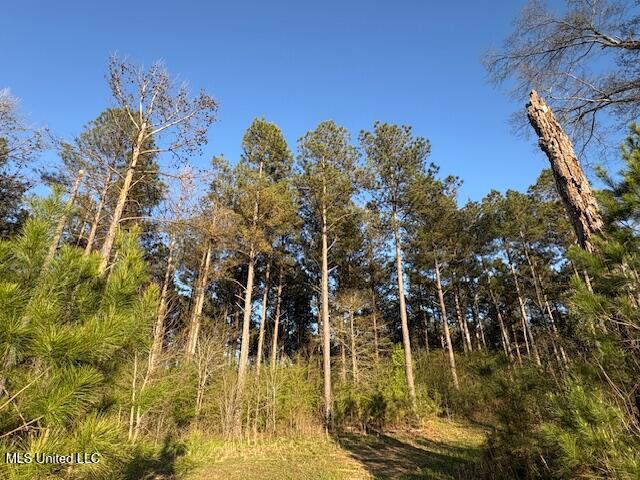 Old Jackson Road, Forest, Mississippi image 6