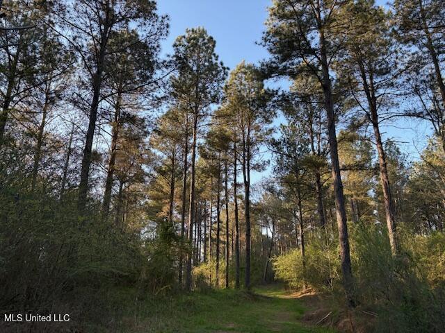 Old Jackson Road, Forest, Mississippi image 1