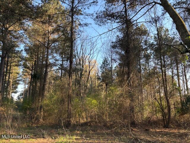 Old Jackson Road, Forest, Mississippi image 7