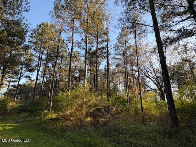 Old Jackson Road, Forest, Mississippi image 4