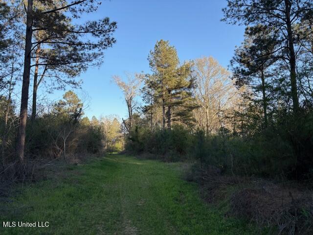 Old Jackson Road, Forest, Mississippi image 2
