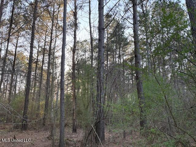 Old Jackson Road, Forest, Mississippi image 8