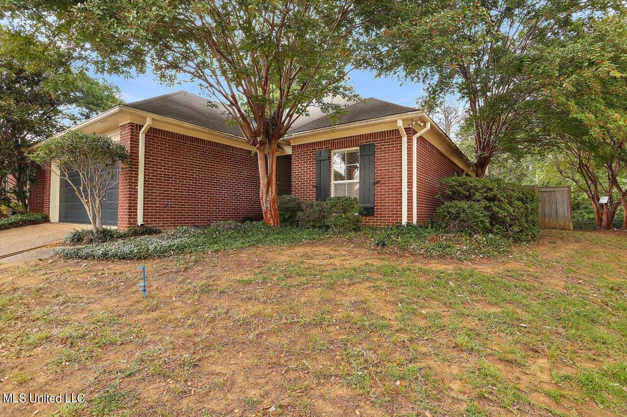 639 Camdenpark Drive, Ridgeland, Mississippi image 50
