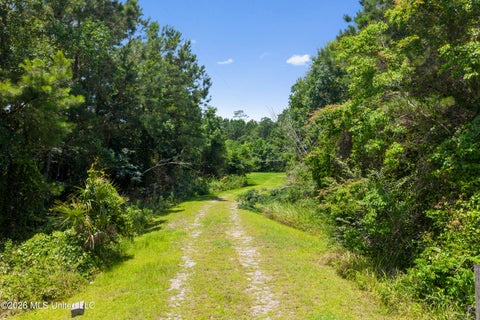 Vacant Land For Sale - 1441 Blue Meadow Road<br/> Hancock County, Bay Saint Louis, MS 39520