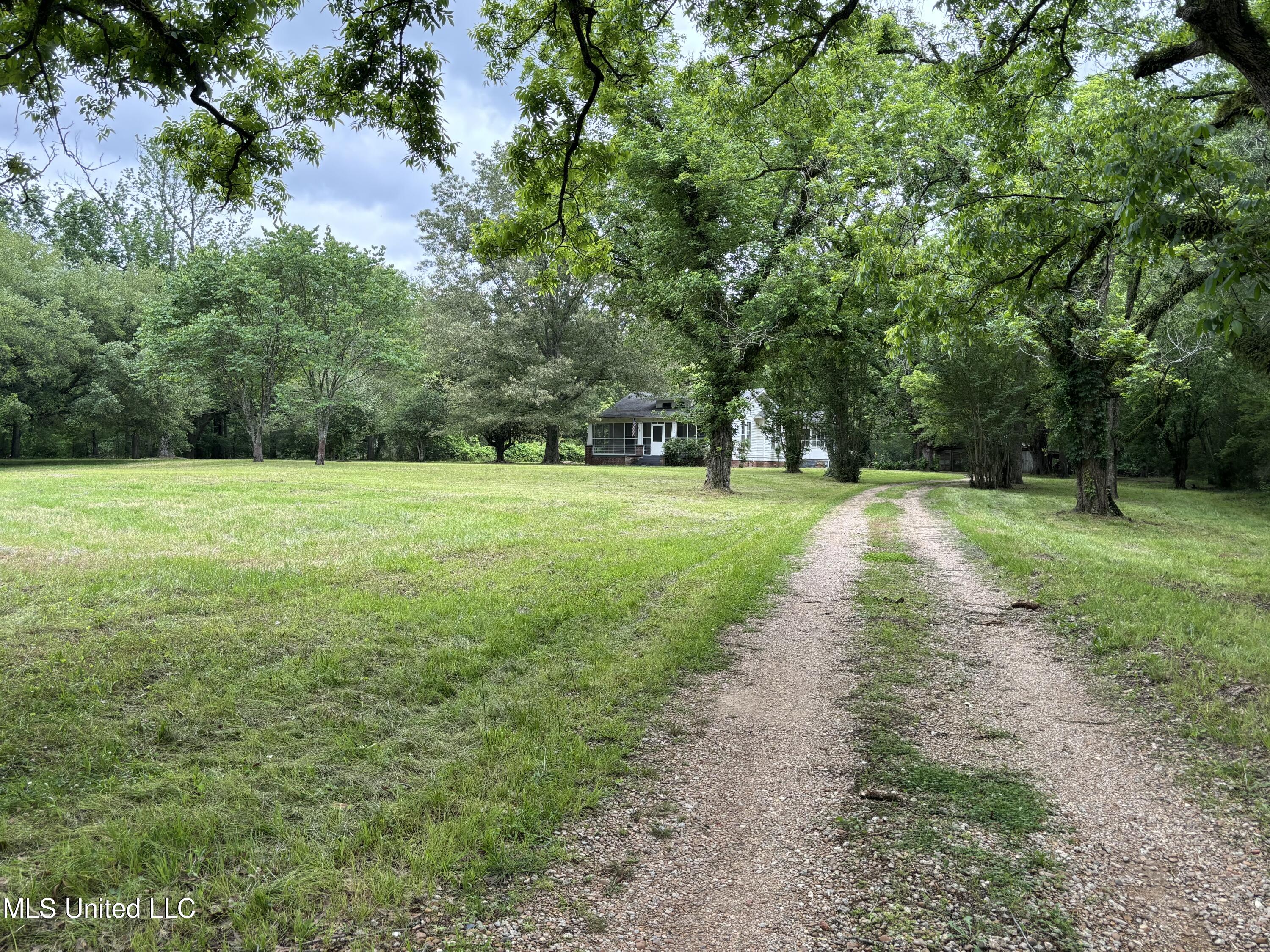 2913 Kickapoo Road, Clinton, Mississippi image 3